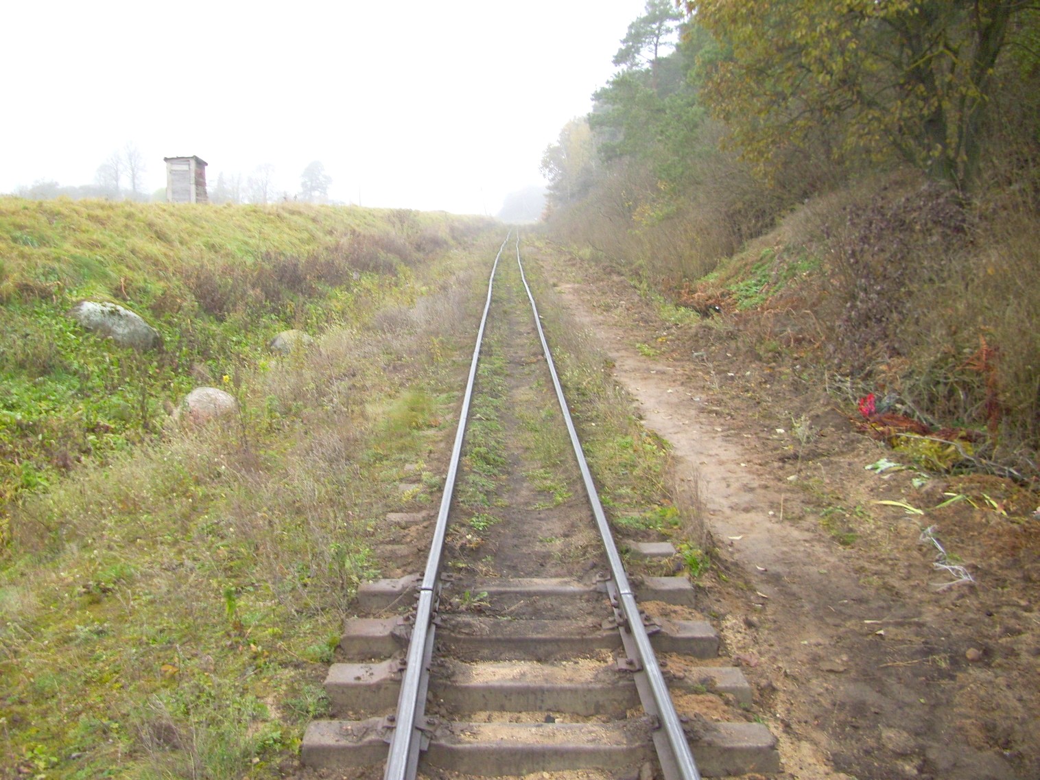 Узкоколейная  железная дорога торфопредприятия «Дитва»   —  фотографии, сделанные в 2011 году (часть 4)