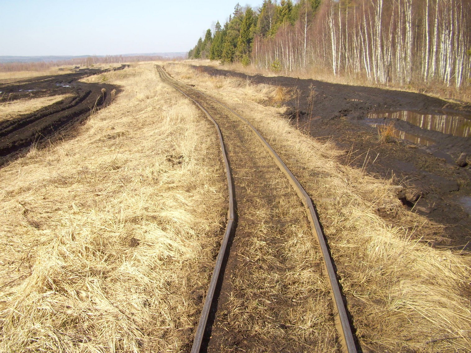 Узкоколейная железная дорога Ганцевичского торфопредприятия — фотографии, сделанные в 2012 году (часть 6)