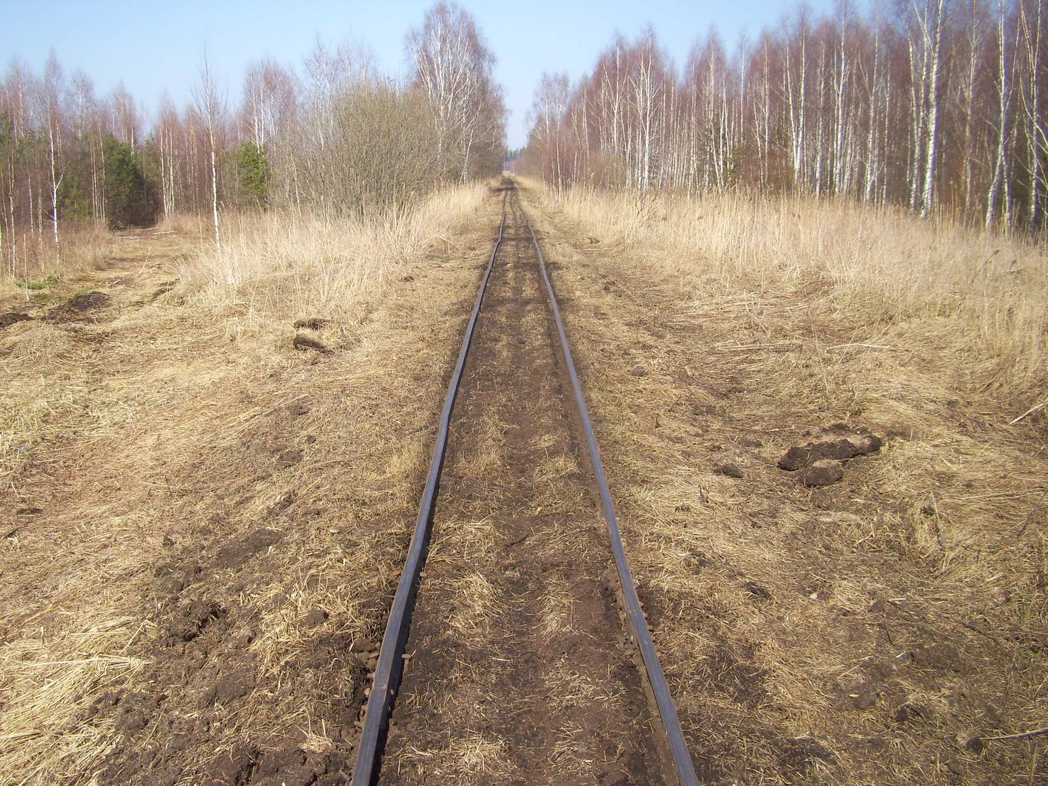 Узкоколейная железная дорога Ганцевичского торфопредприятия — фотографии, сделанные в 2012 году (часть 7)