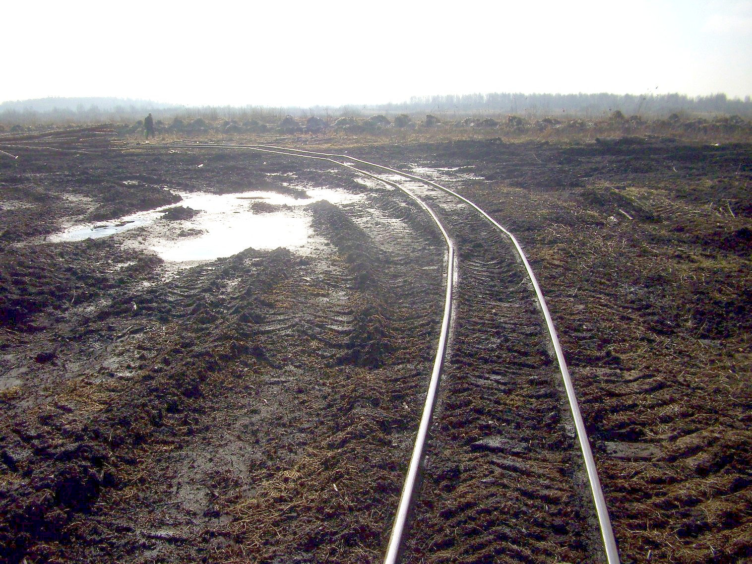 Узкоколейная железная дорога Ганцевичского торфопредприятия — фотографии, сделанные в 2012 году (часть 3)