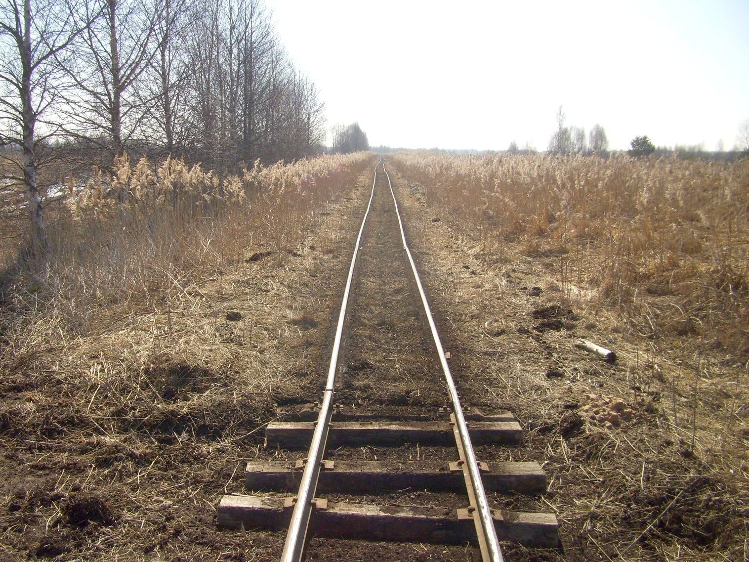 Узкоколейная железная дорога Ганцевичского торфопредприятия — фотографии, сделанные в 2012 году (часть 5)