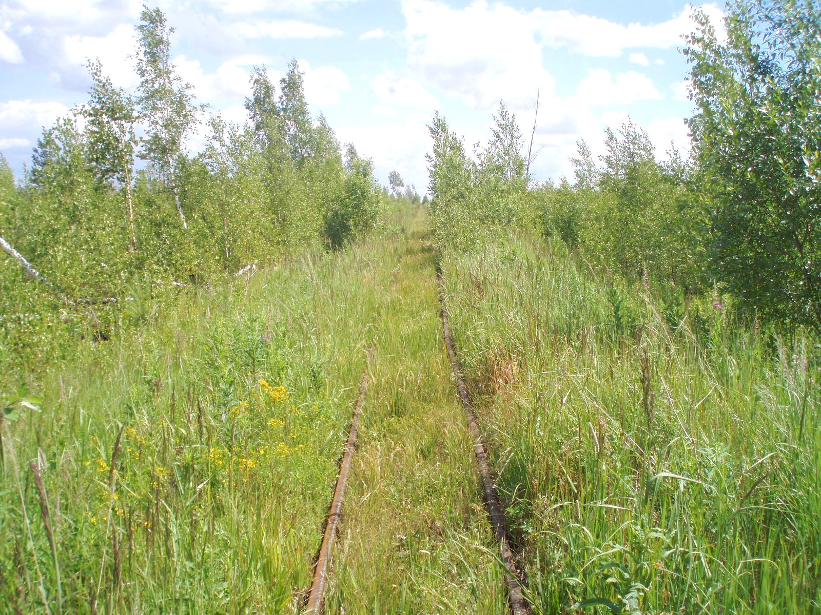 Узкоколейная железная дорога торфопредприятия «Полистовское-2»  — фотографии, сделанные в 2007 году (часть 8)