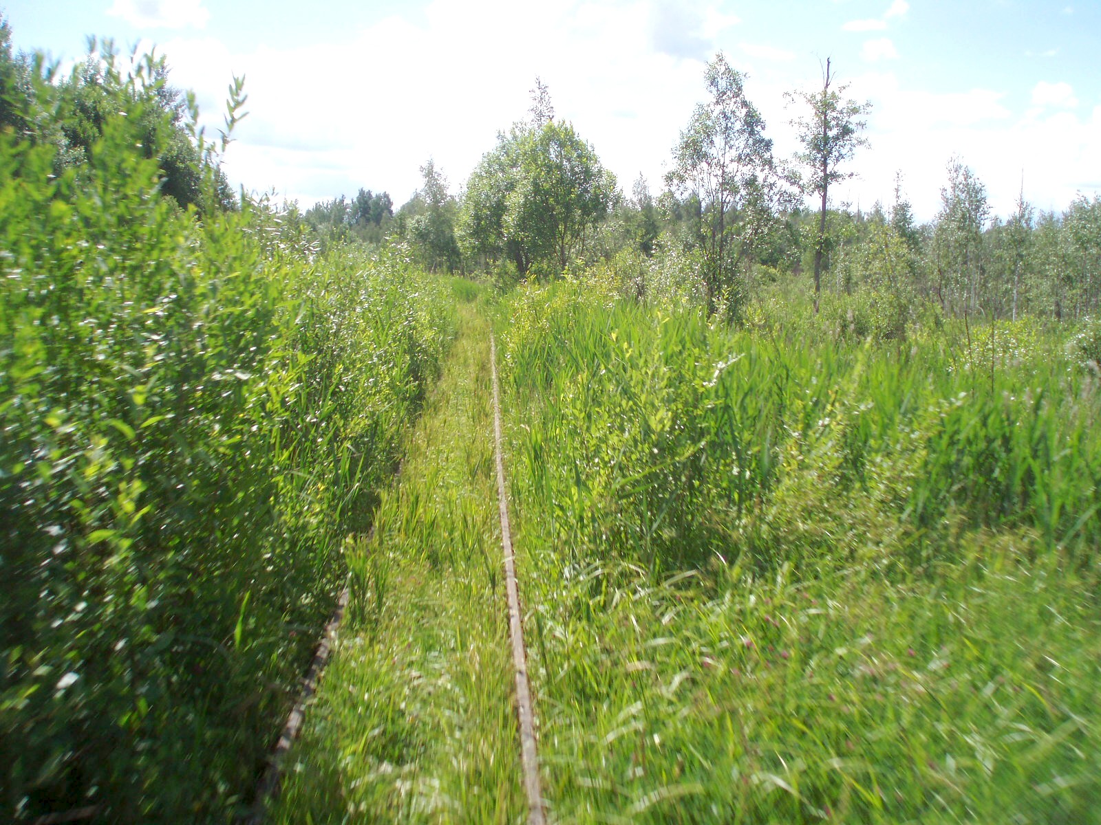 Узкоколейная железная дорога торфопредприятия «Полистовское-2»  — фотографии, сделанные в 2007 году (часть 4)