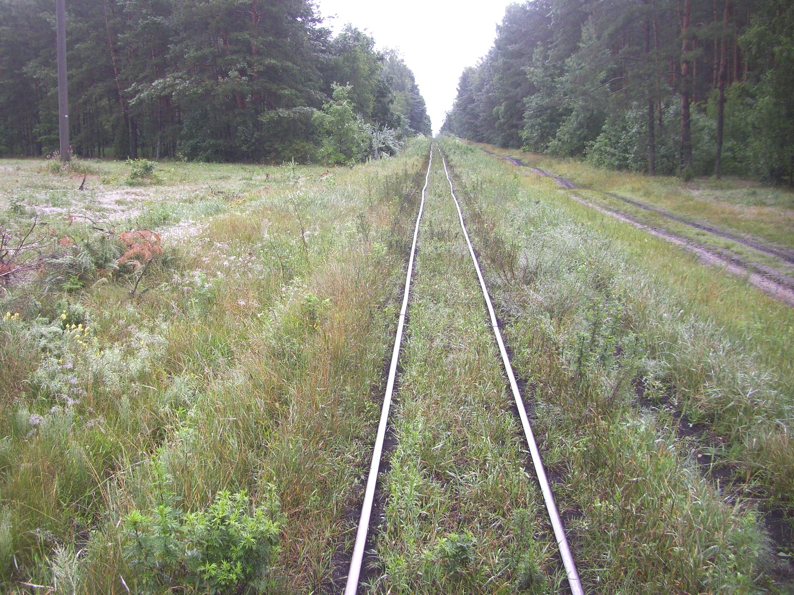 Узкоколейная железная дорога Гатча-Осовского торфопредприятия
  —  фотографии, сделанные в 2011 году (часть 2)