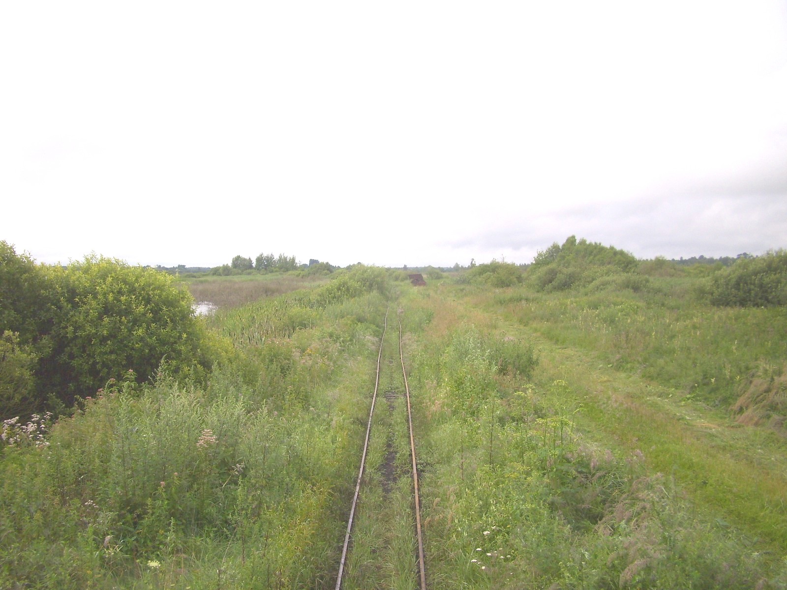 Узкоколейная железная дорога Гатча-Осовского торфопредприятия
  —  фотографии, сделанные в 2011 году (часть 3)