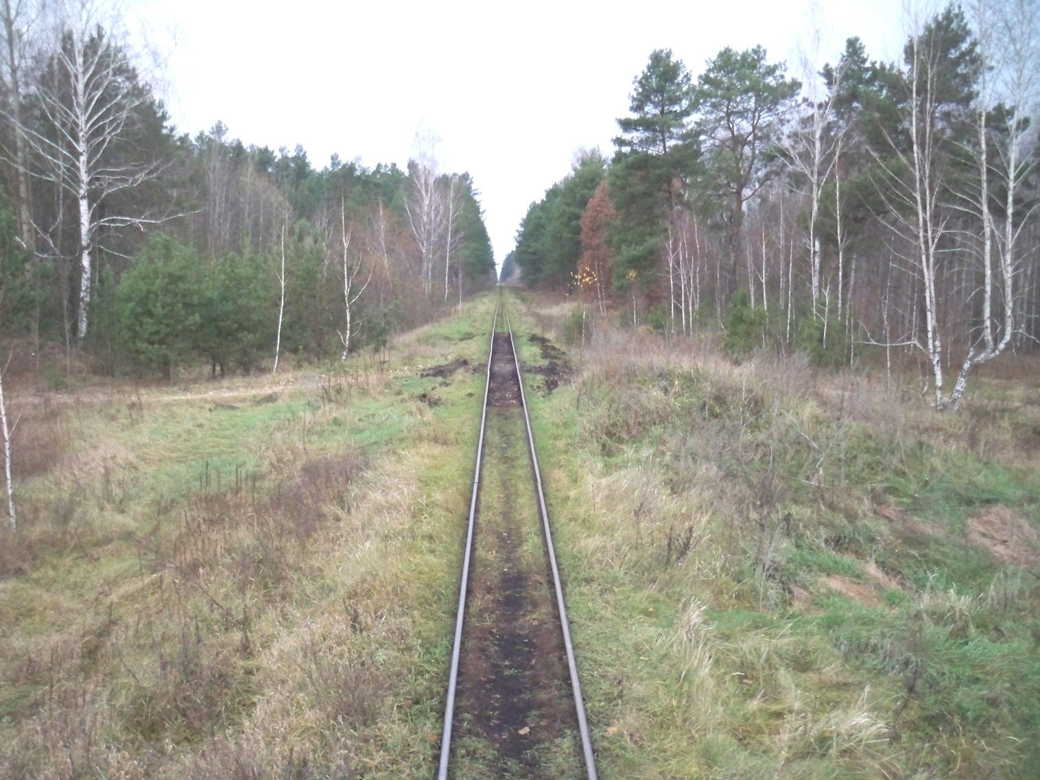 Узкоколейная железная дорога Хойникского торфопредприятия
  —  фотографии, сделанные в 2012 году (часть 4)