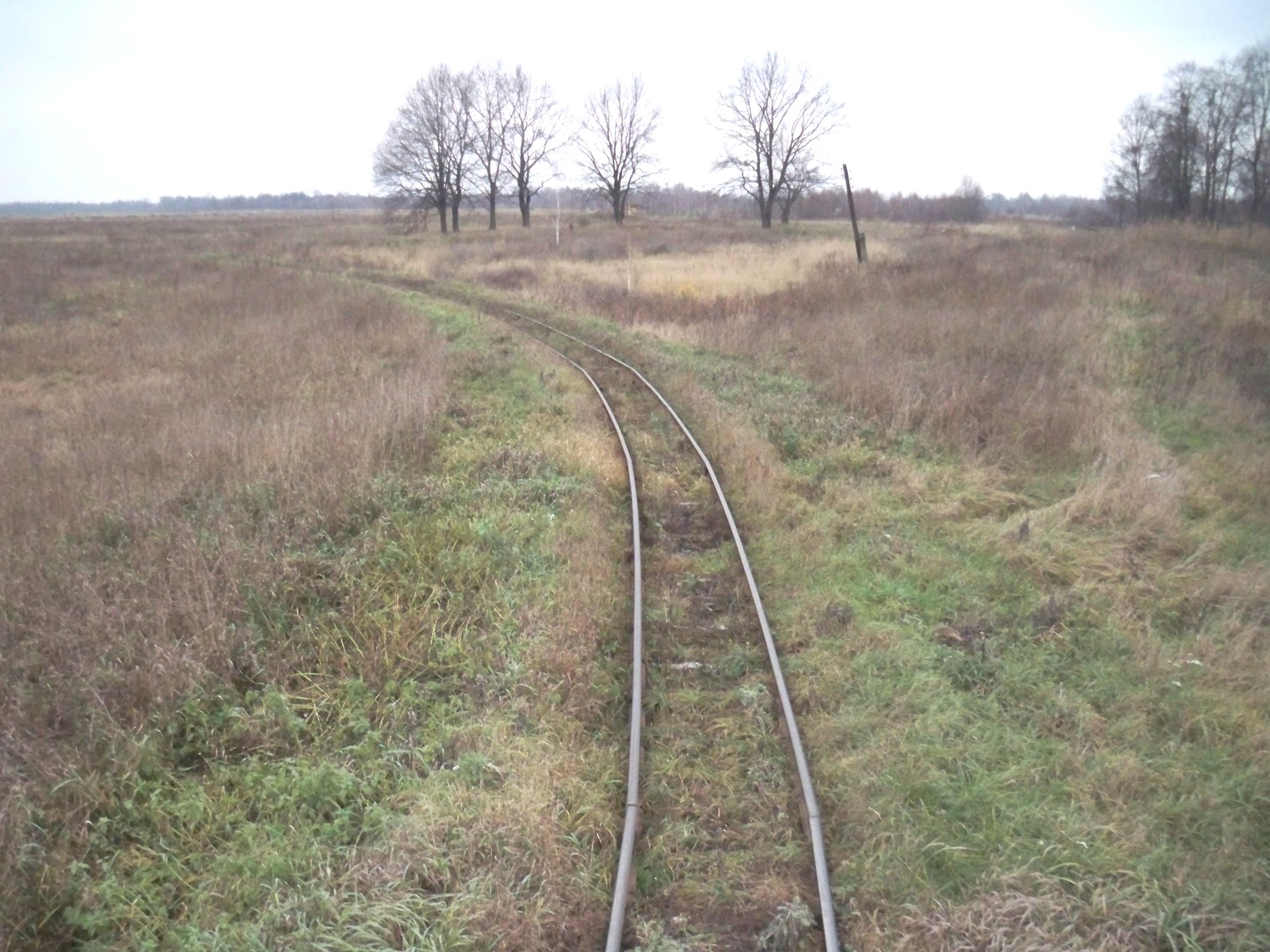 Узкоколейная железная дорога Хойникского торфопредприятия
  —  фотографии, сделанные в 2012 году (часть 7)