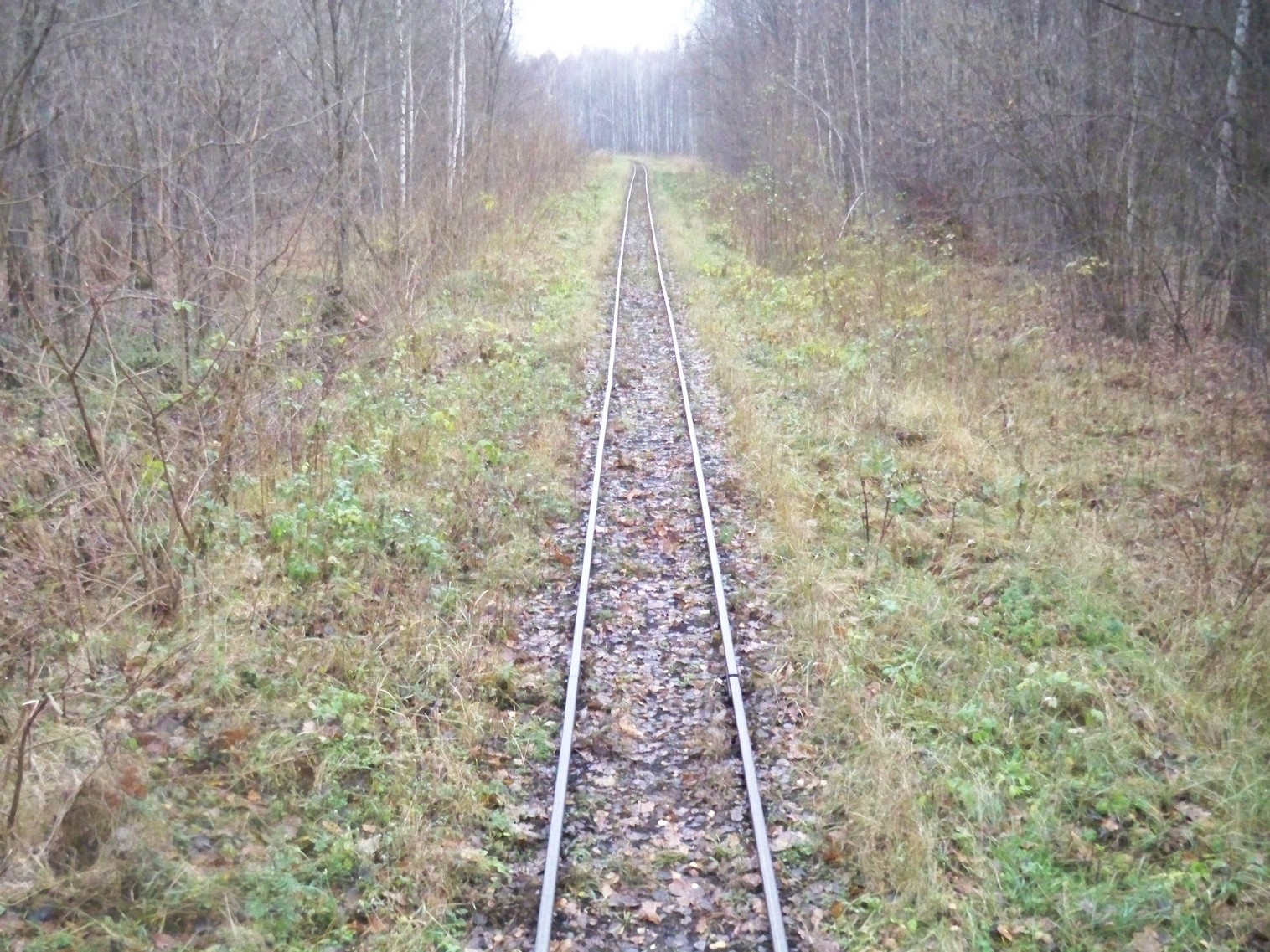 Узкоколейная железная дорога Хойникского торфопредприятия
  —  фотографии, сделанные в 2012 году (часть 8)