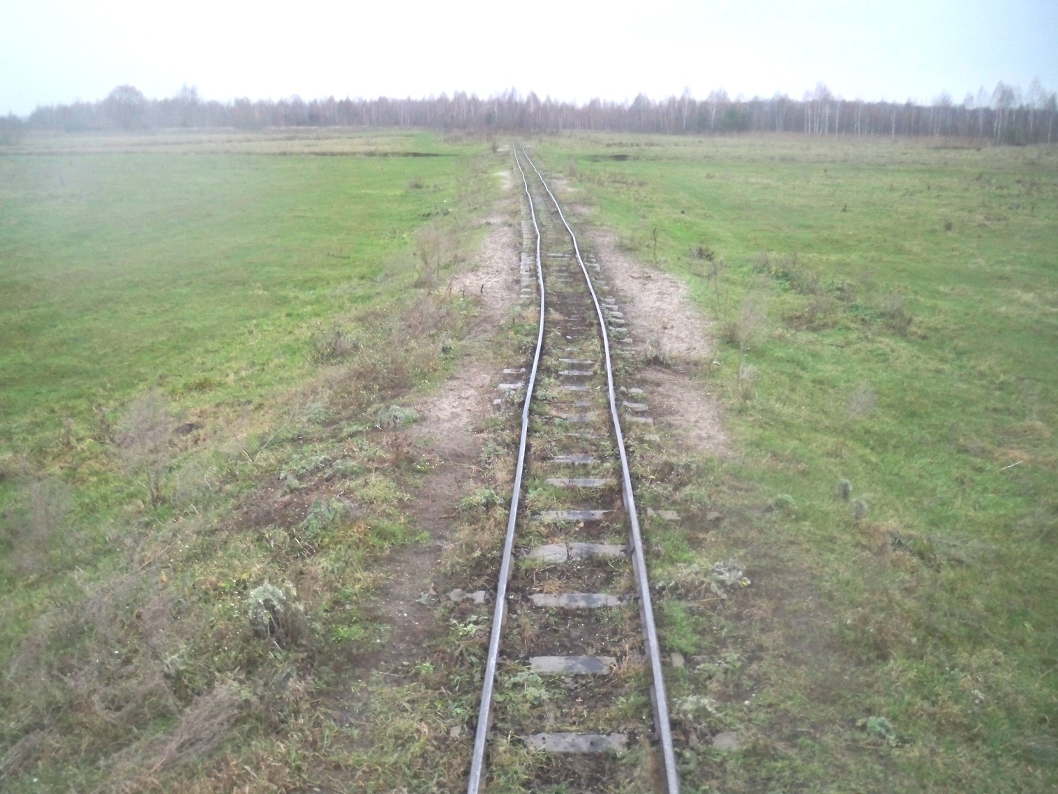 Узкоколейная железная дорога Хойникского торфопредприятия
  —  фотографии, сделанные в 2012 году (часть 9)