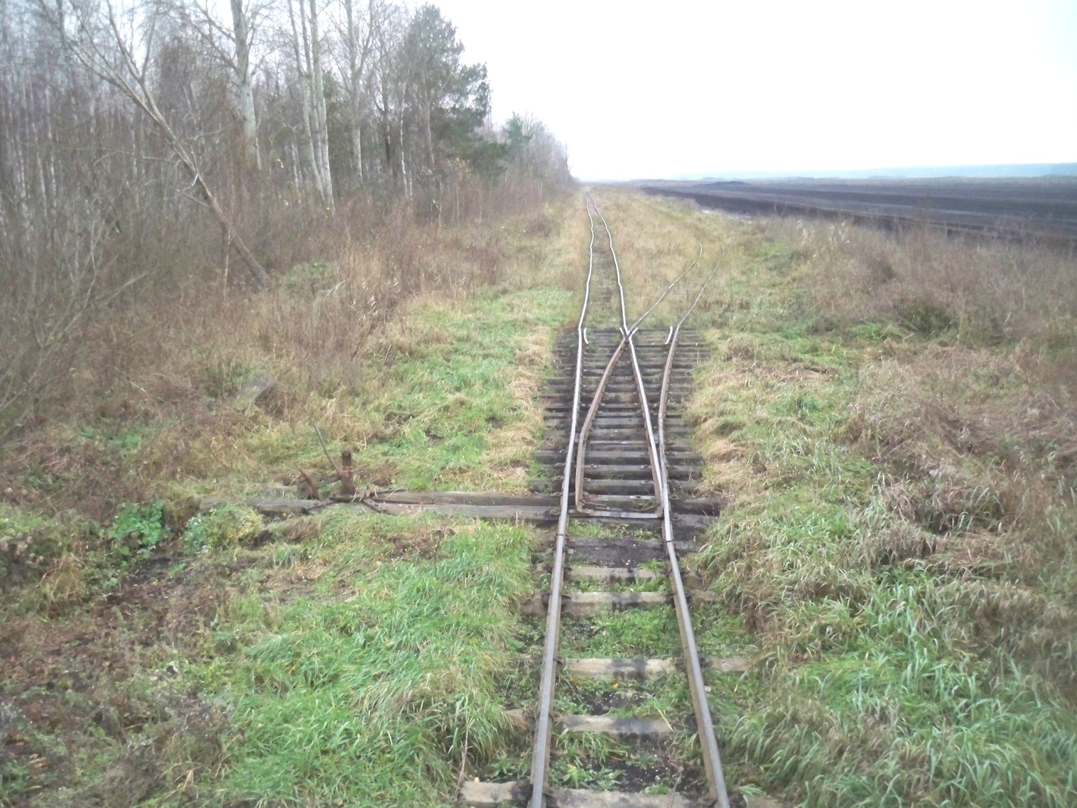 Узкоколейная железная дорога Хойникского торфопредприятия
  —  фотографии, сделанные в 2012 году (часть 10)