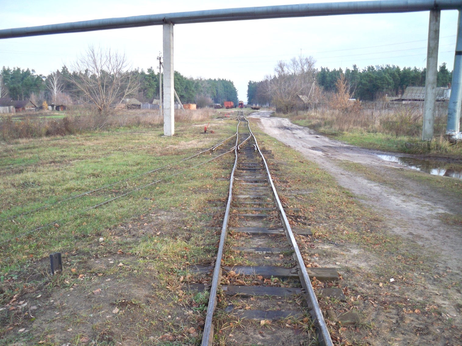 Узкоколейная железная дорога Хойникского торфопредприятия
  —  фотографии, сделанные в 2012 году (часть 2)