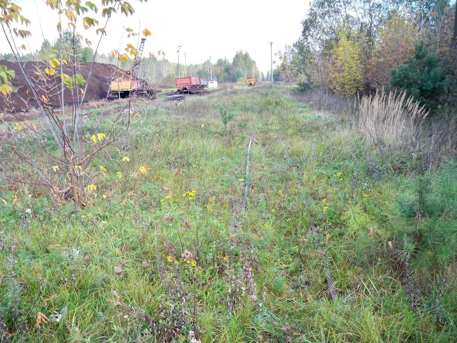 Узкоколейная  железная дорога Житковичского торфопредприятия  —  фотографии, сделанные в 2012 году (часть 1)