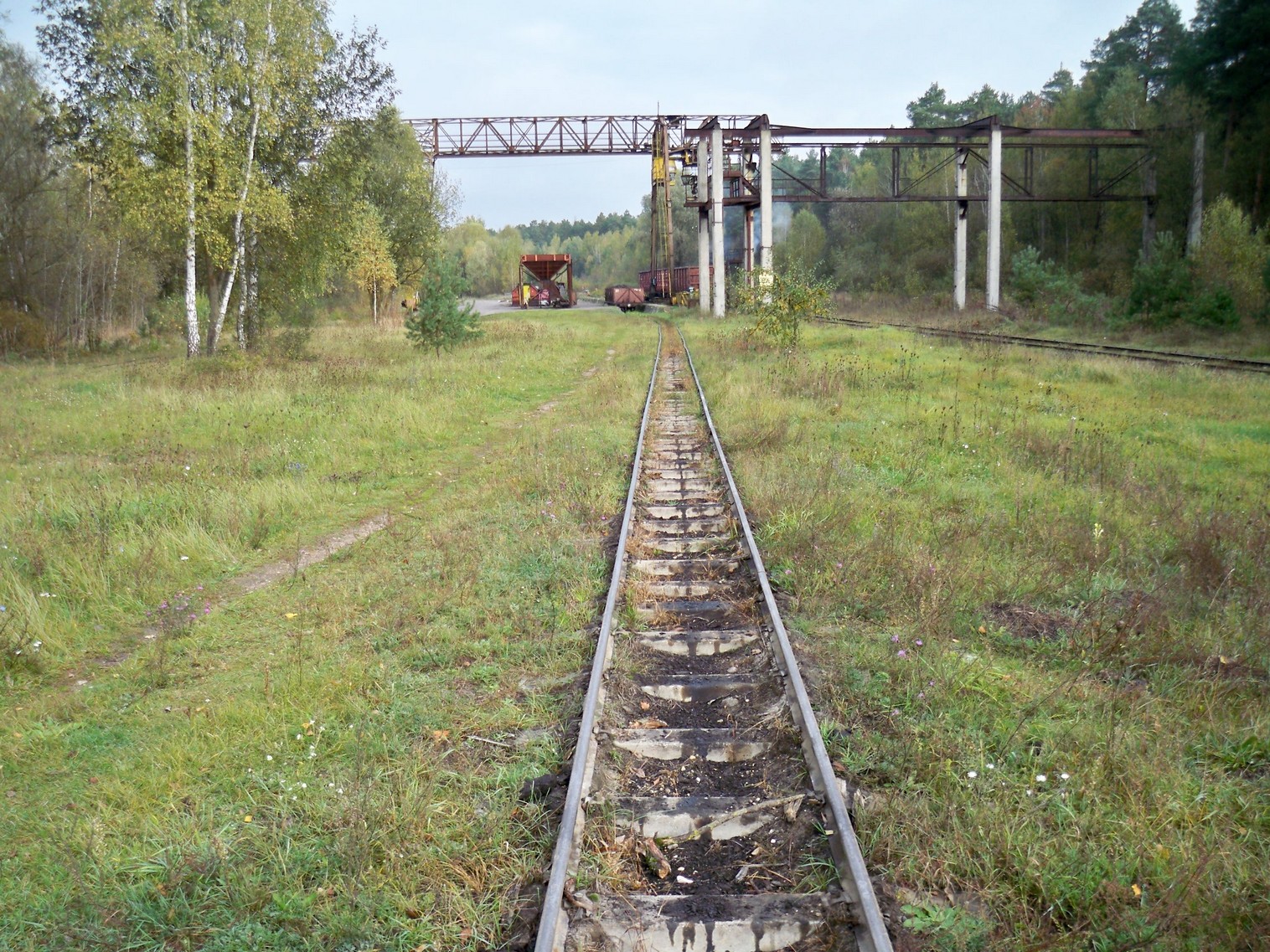 Узкоколейная  железная дорога Житковичского торфопредприятия  —  фотографии, сделанные в 2012 году (часть 2)