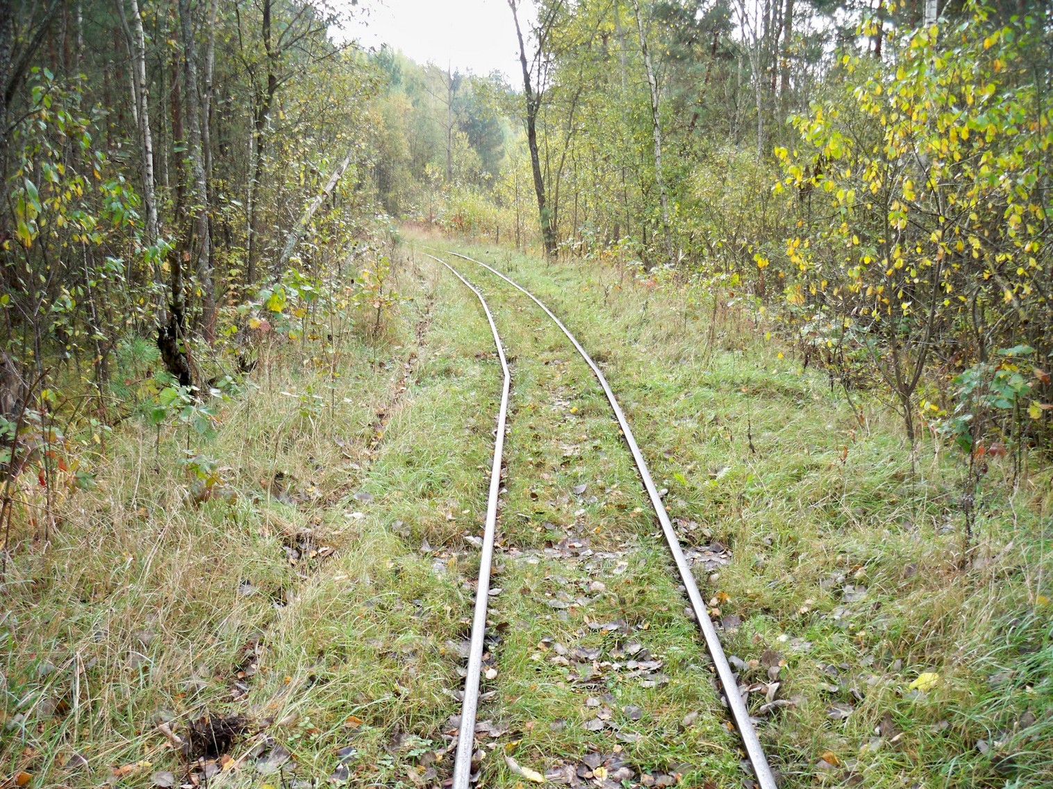 Узкоколейная  железная дорога Житковичского торфопредприятия  —  фотографии, сделанные в 2012 году (часть 3)