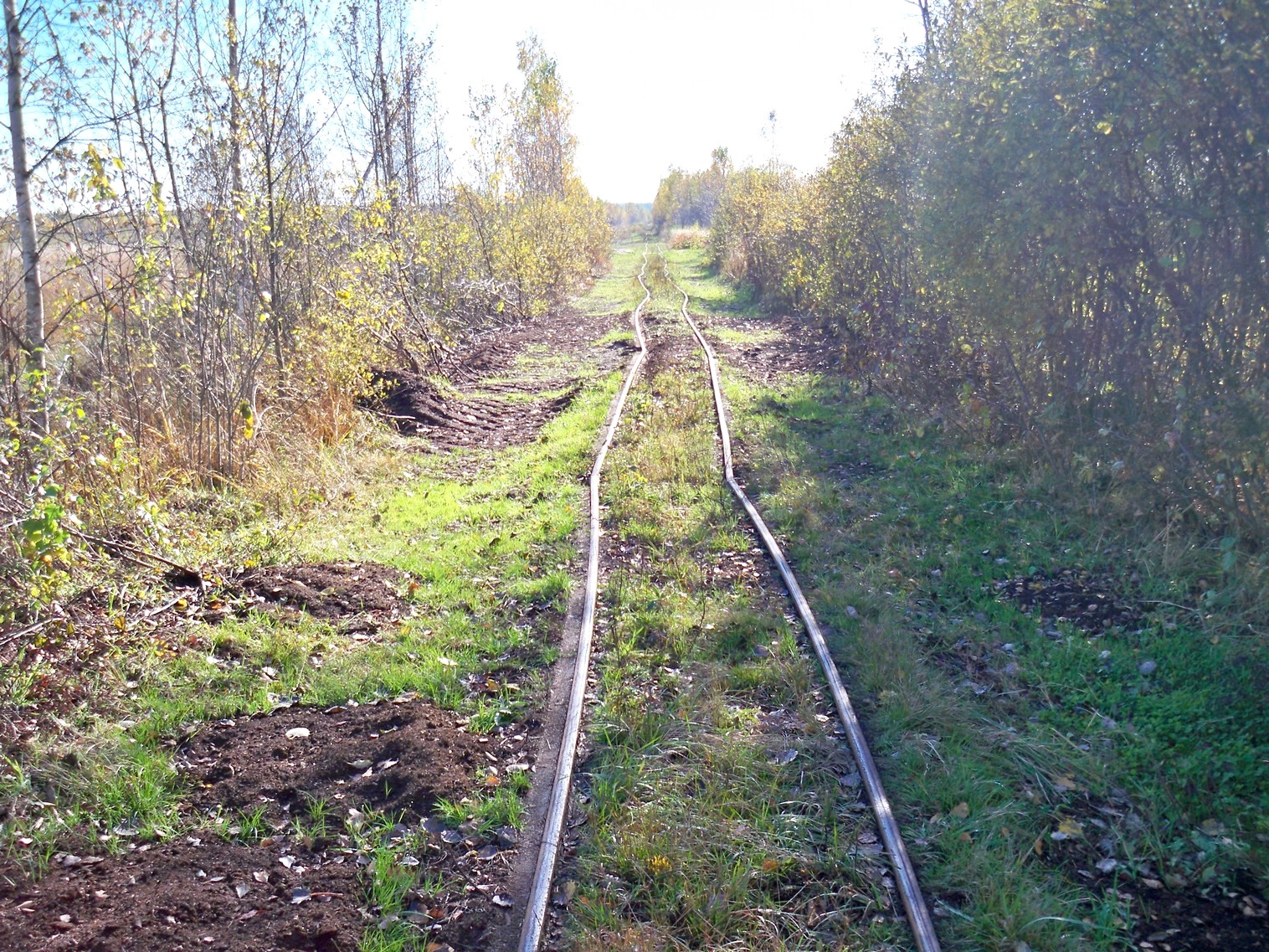 Узкоколейная железная дорога торфопредприятия «Глинка»  в Колодном 
  —  фотографии, сделанные в 2012 году (часть 4)