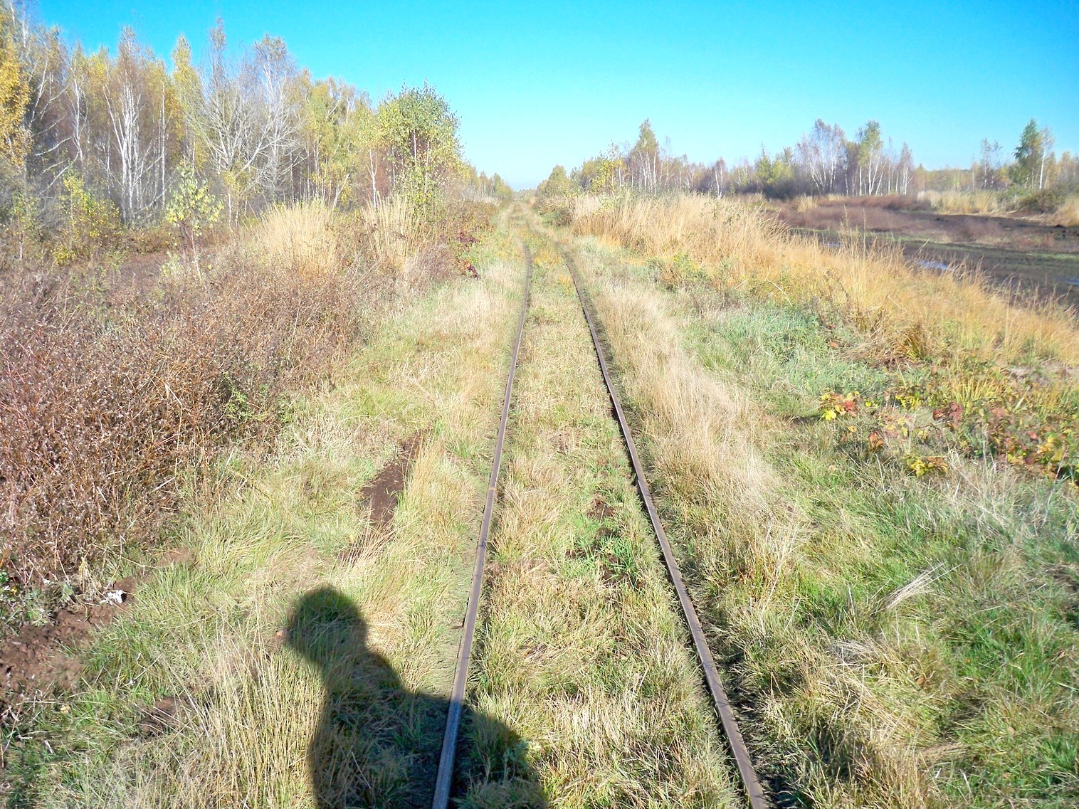Узкоколейная железная дорога торфопредприятия «Глинка»  в Колодном 
  —  фотографии, сделанные в 2012 году (часть 6)