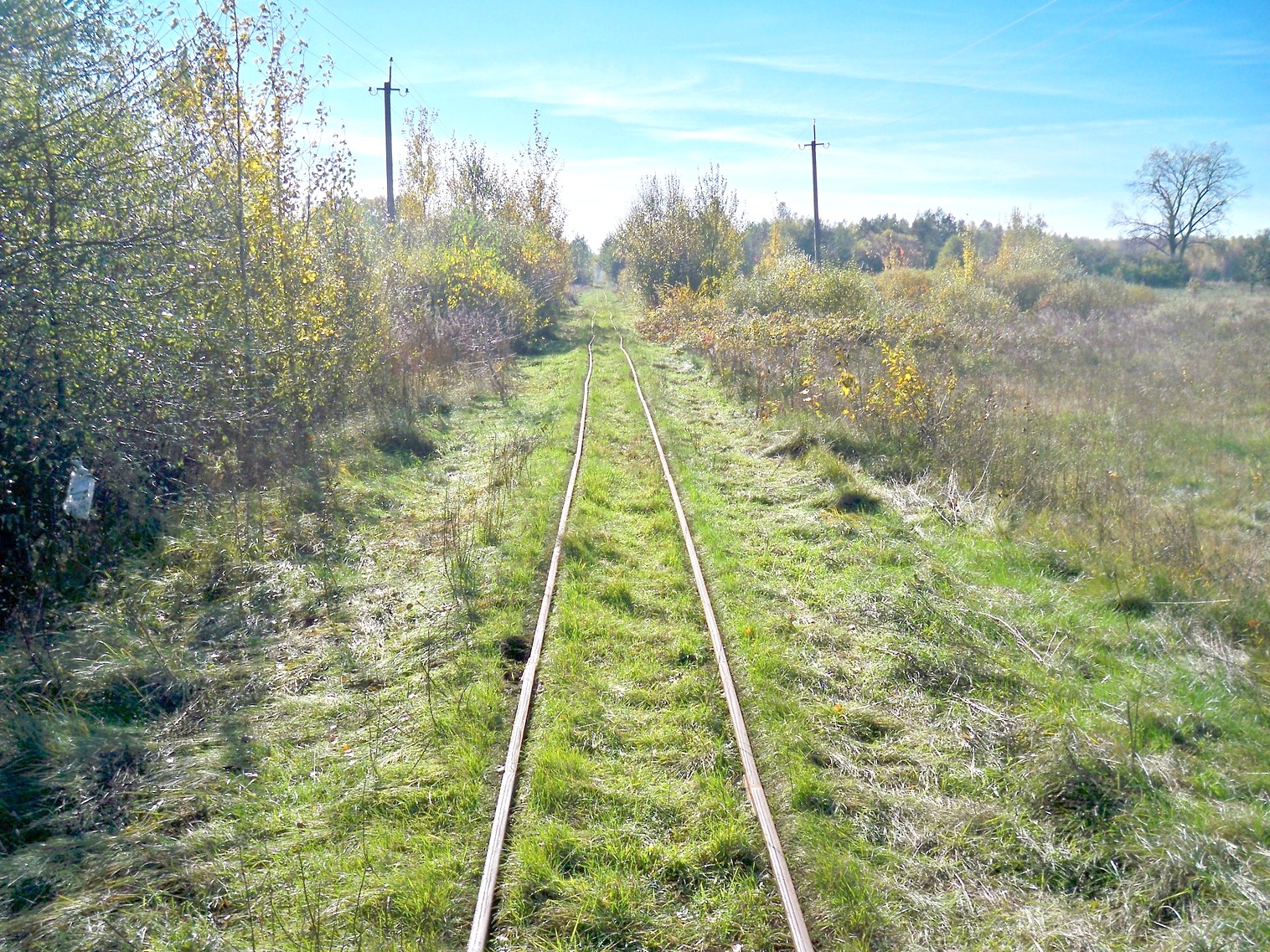 Узкоколейная железная дорога торфопредприятия «Глинка»  в Колодном 
  —  фотографии, сделанные в 2012 году (часть 3)
