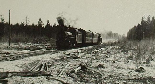 Аникинская узкоколейная железная дорога — исторические  фотографии