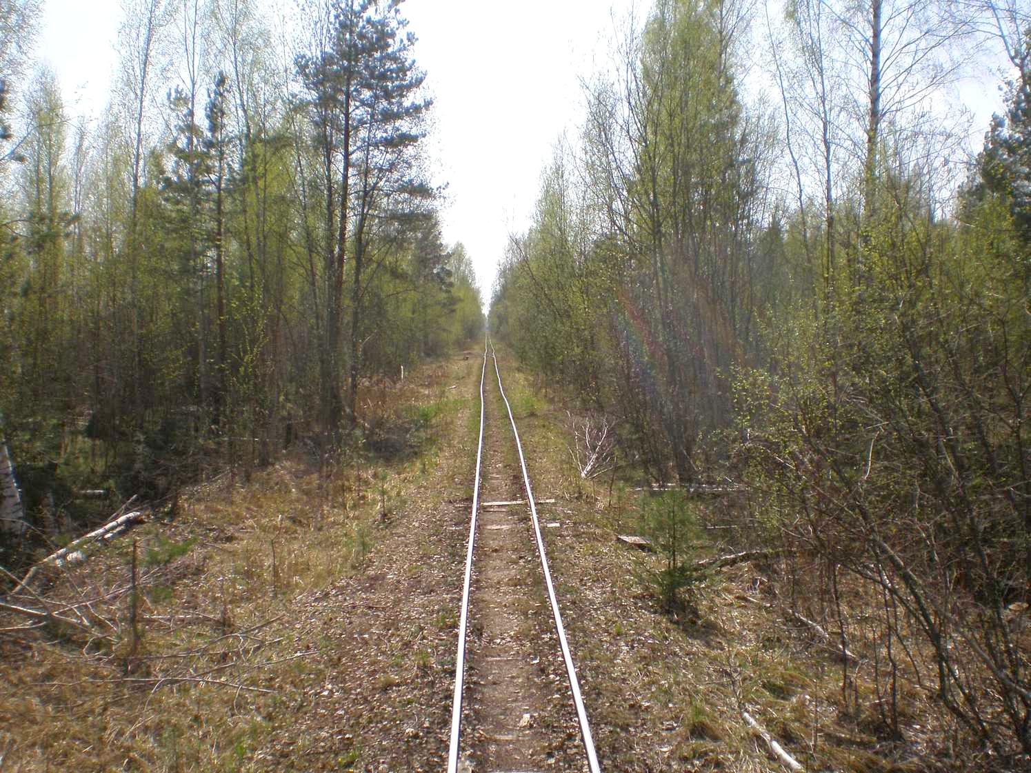 Узкоколейная железная дорога Тёсовского транспортного управления  —  фотографии, сделанные в 2008 году (часть 10)