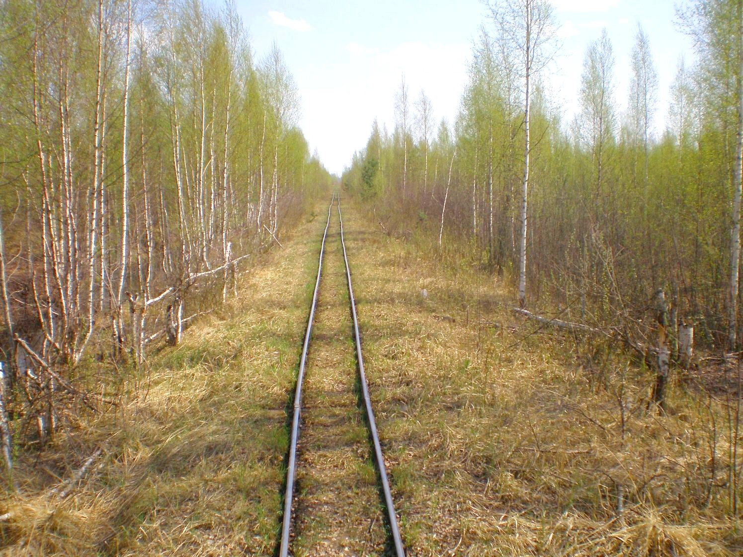 Узкоколейная железная дорога Тёсовского транспортного управления  —  фотографии, сделанные в 2008 году (часть 11)