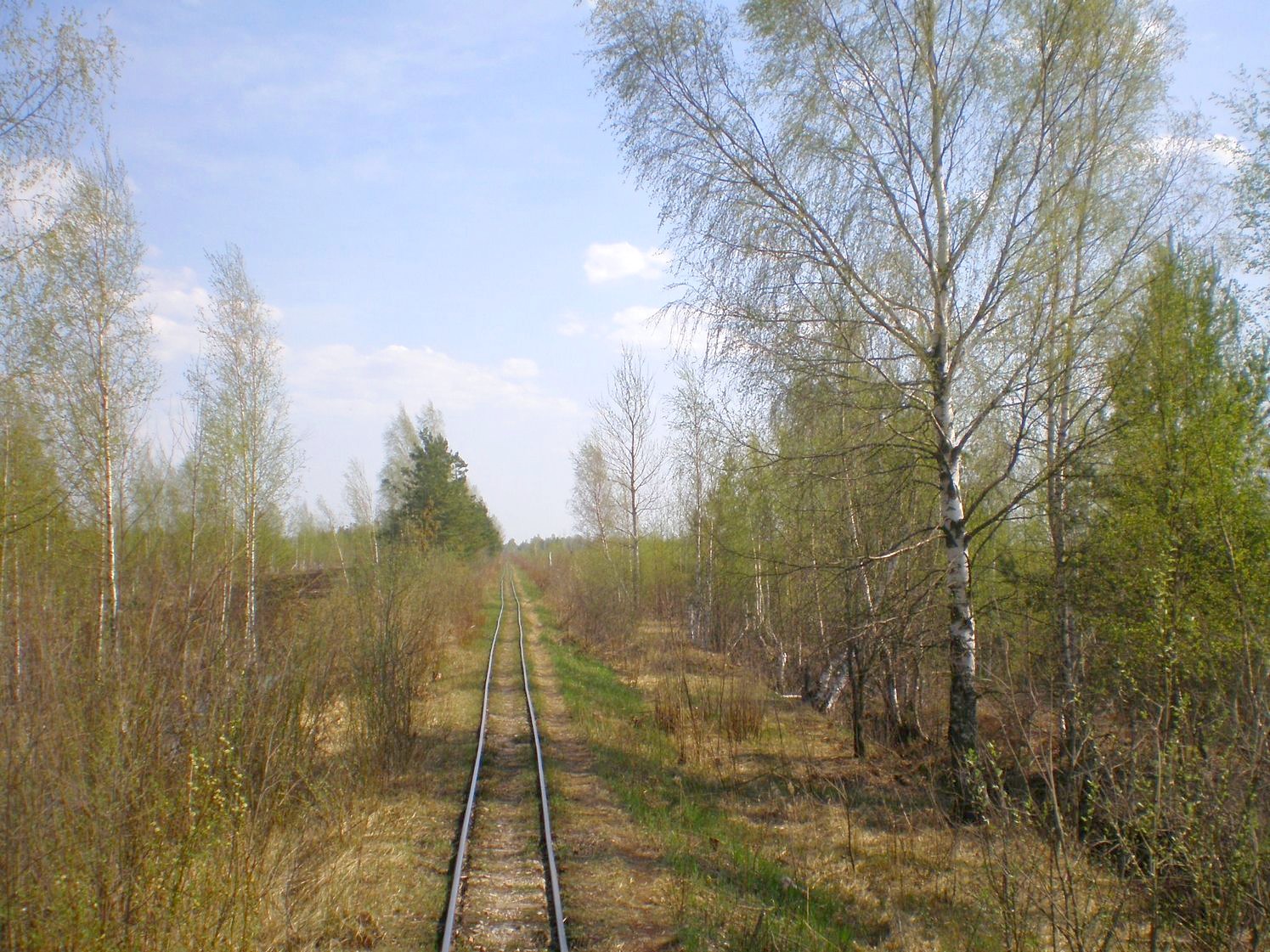 Узкоколейная железная дорога Тёсовского транспортного управления  —  фотографии, сделанные в 2008 году (часть 12)