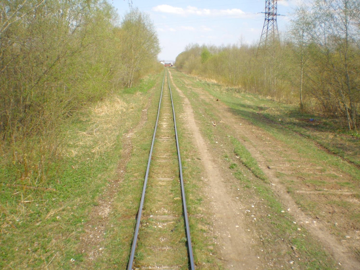 Узкоколейная железная дорога Тёсовского транспортного управления  —  фотографии, сделанные в 2008 году (часть 15)