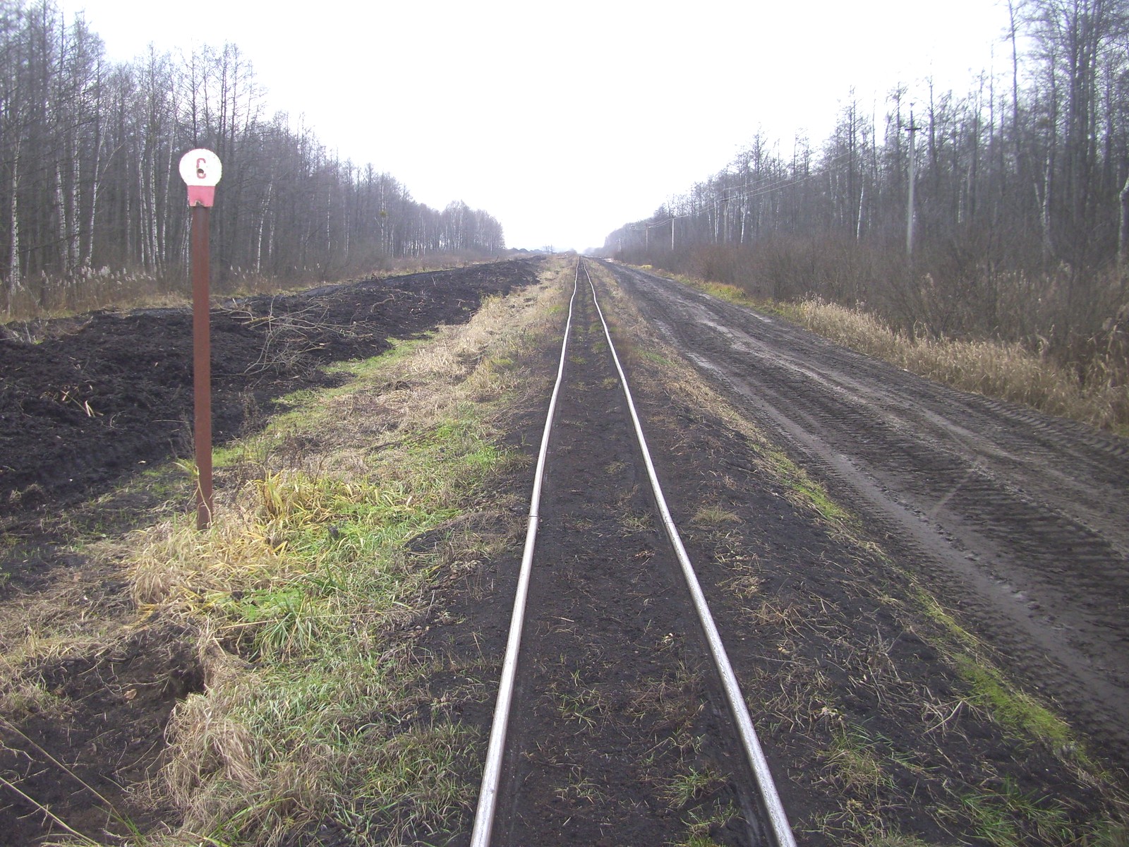 Узкоколейная железная дорога Ляховичского торфопредприятия
  —  фотографии, сделанные в 2011 году (часть 5)