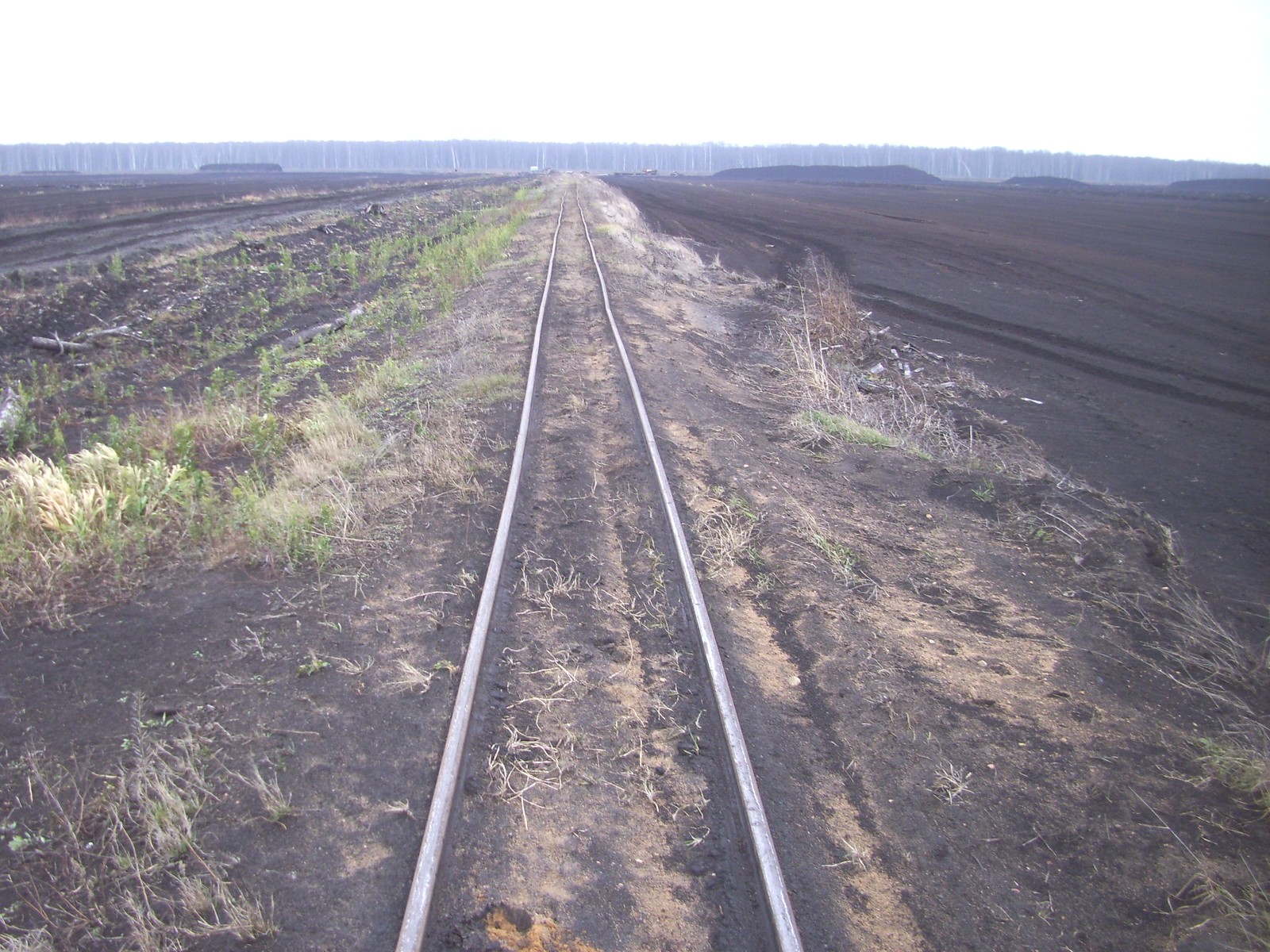 Узкоколейная железная дорога Ляховичского торфопредприятия
  —  фотографии, сделанные в 2011 году (часть 2)