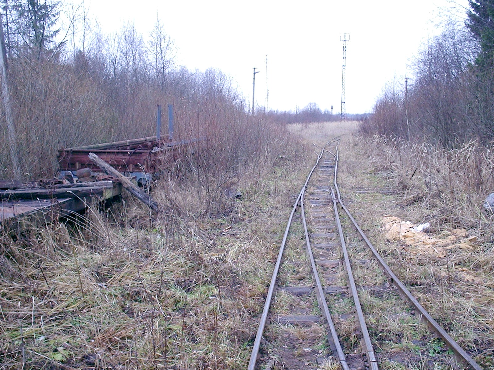 Княжегорская узкоколейная железная дорога — фотографии, сделанные в 2005 году (часть 3)
