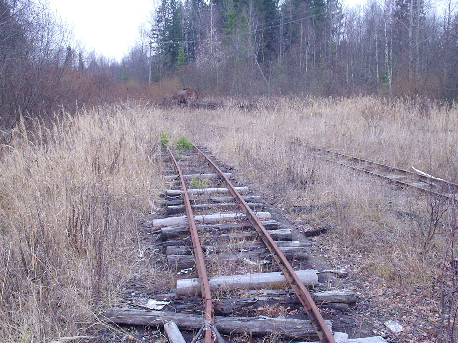 Княжегорская узкоколейная железная дорога — фотографии, сделанные в 2005 году (часть 4)