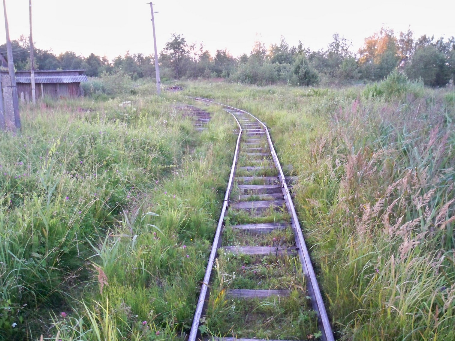 Княжегорская узкоколейная железная дорога — фотографии, сделанные в 2013 году (часть 3)