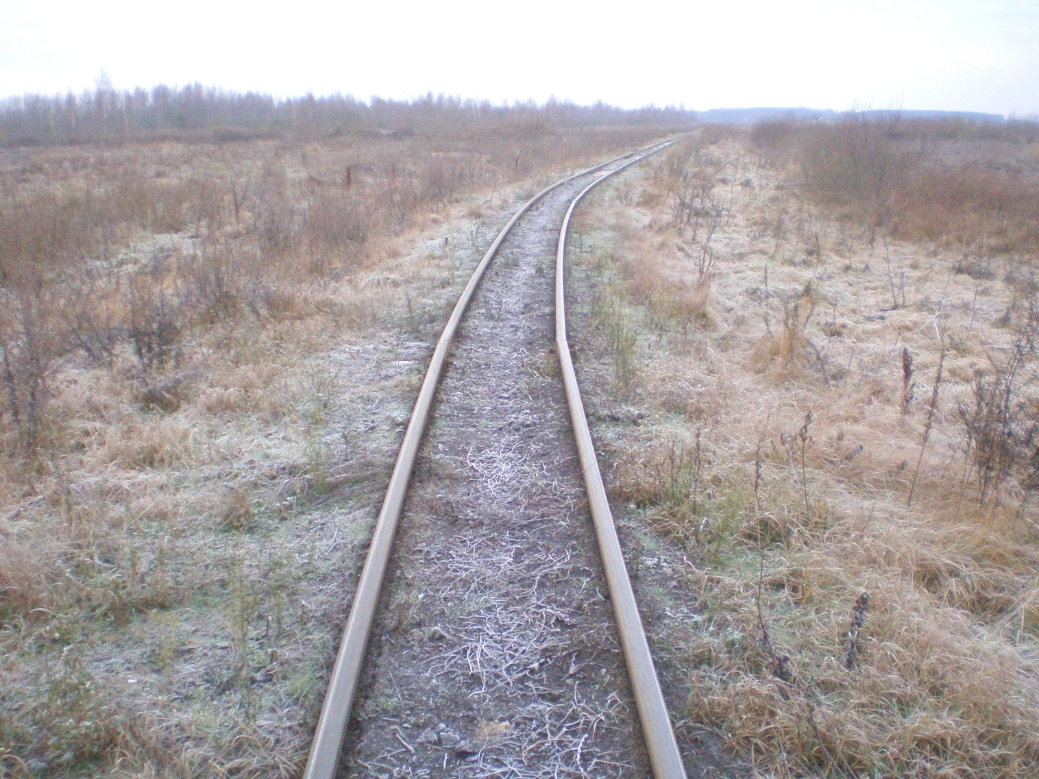 Узкоколейная  железная дорога Лидского торфопредприятия   —  фотографии, сделанные в 2008 году (часть 6)