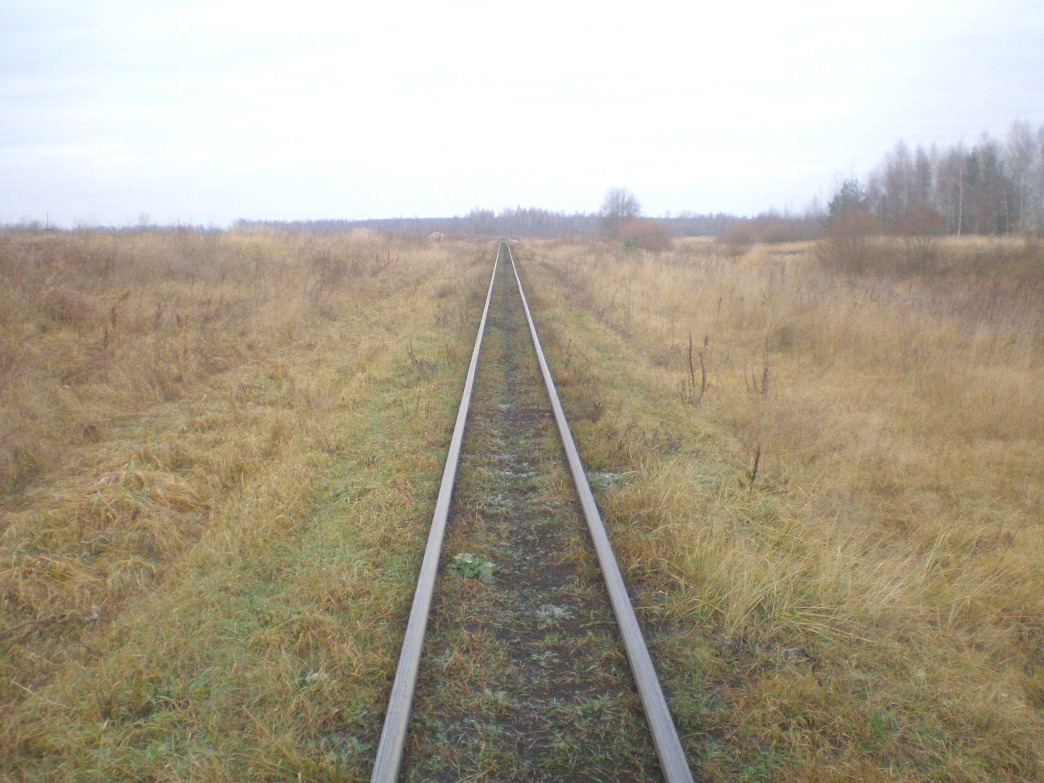 Узкоколейная  железная дорога Лидского торфопредприятия   —  фотографии, сделанные в 2008 году (часть 7)