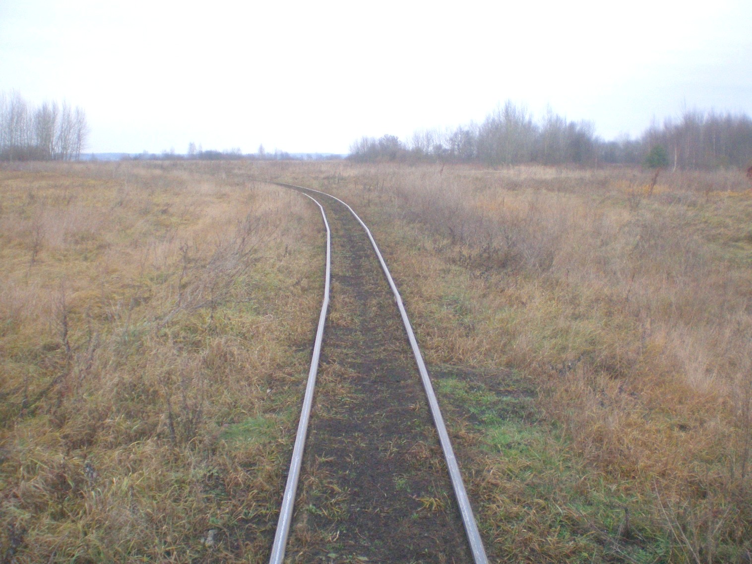 Узкоколейная  железная дорога Лидского торфопредприятия   —  фотографии, сделанные в 2008 году (часть 10)