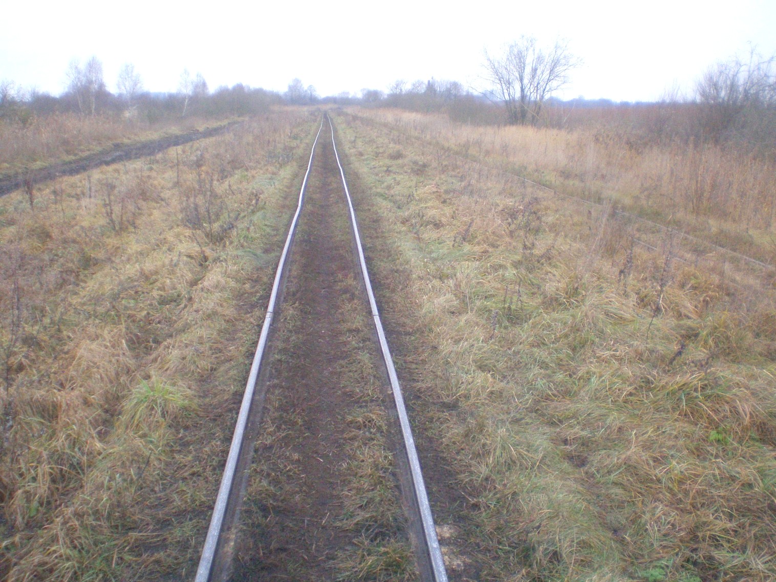 Узкоколейная  железная дорога Лидского торфопредприятия   —  фотографии, сделанные в 2008 году (часть 11)