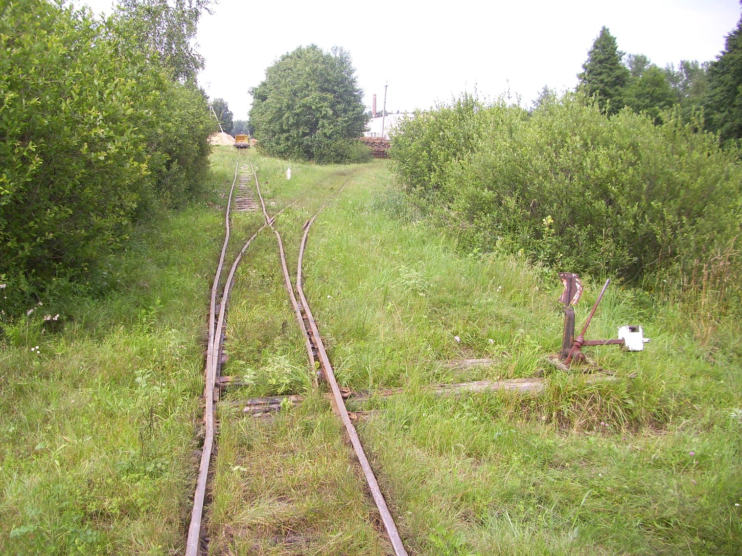 Узкоколейная  железная дорога Нёманского торфопредприятия  —  фотографии, сделанные в 2011 году (часть 6)