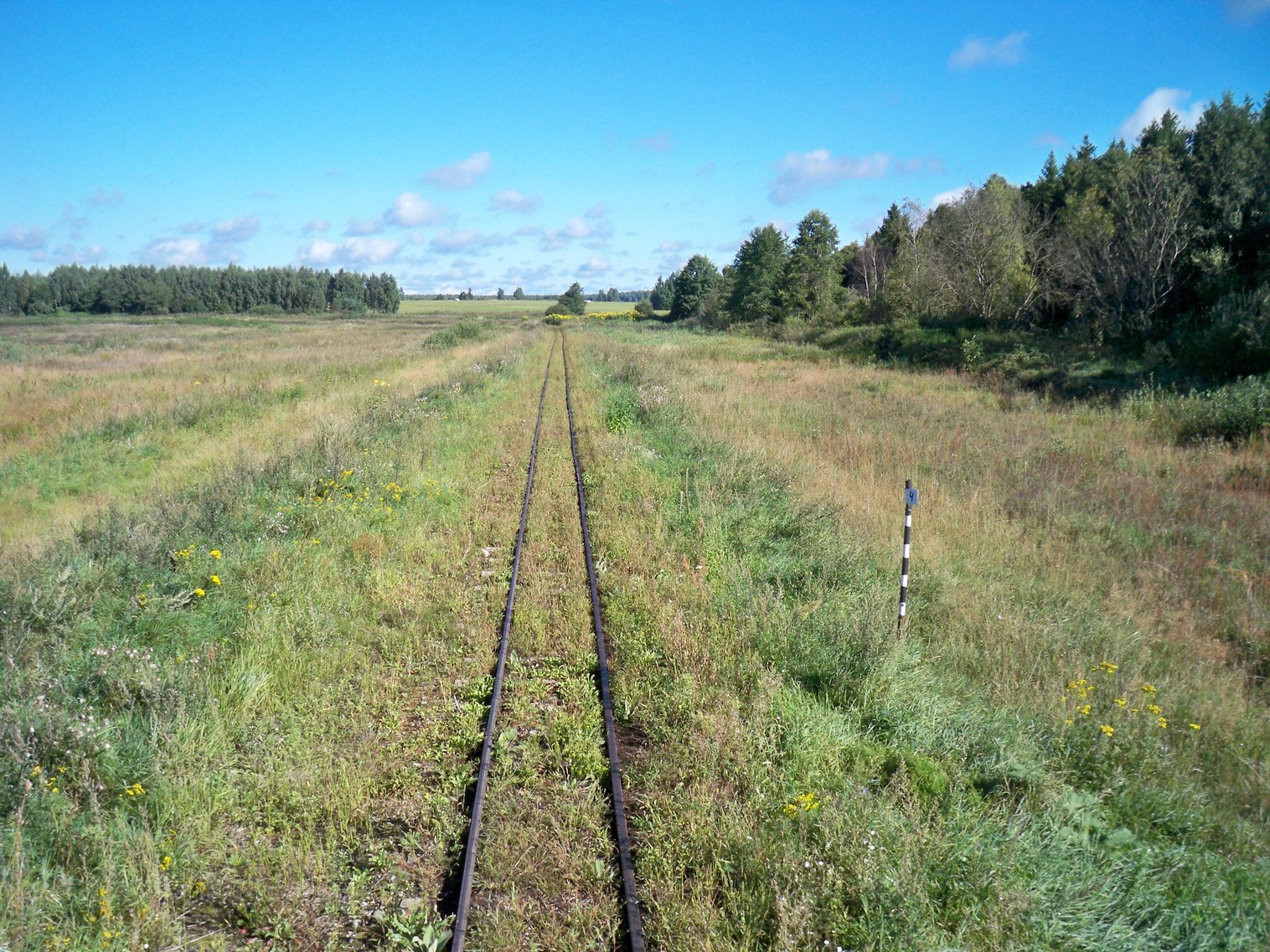 Узкоколейная  железная дорога Нёманского торфопредприятия  —  фотографии, сделанные в 2013 году (часть 6)