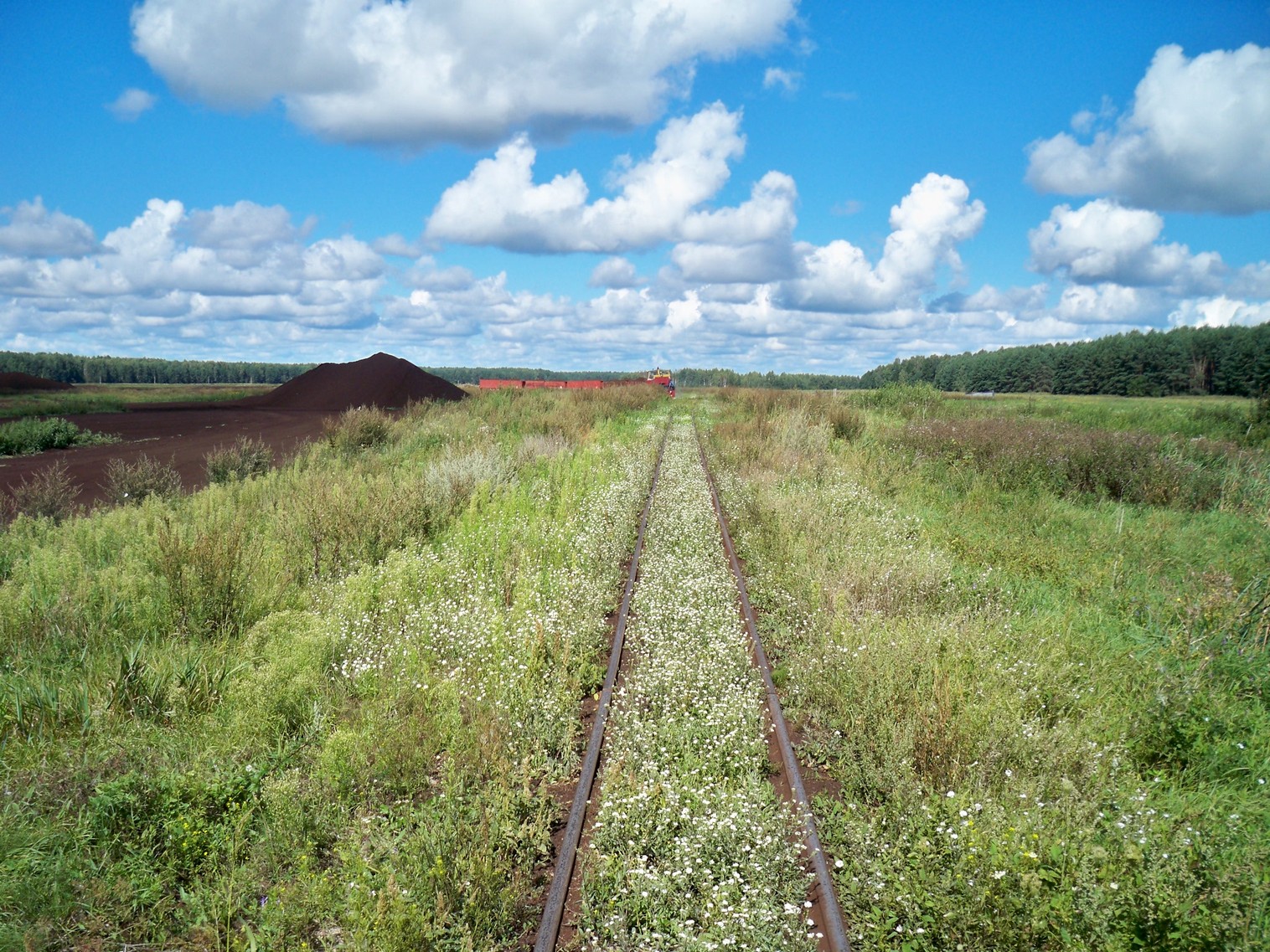 Узкоколейная  железная дорога Нёманского торфопредприятия  —  фотографии, сделанные в 2013 году (часть 9)