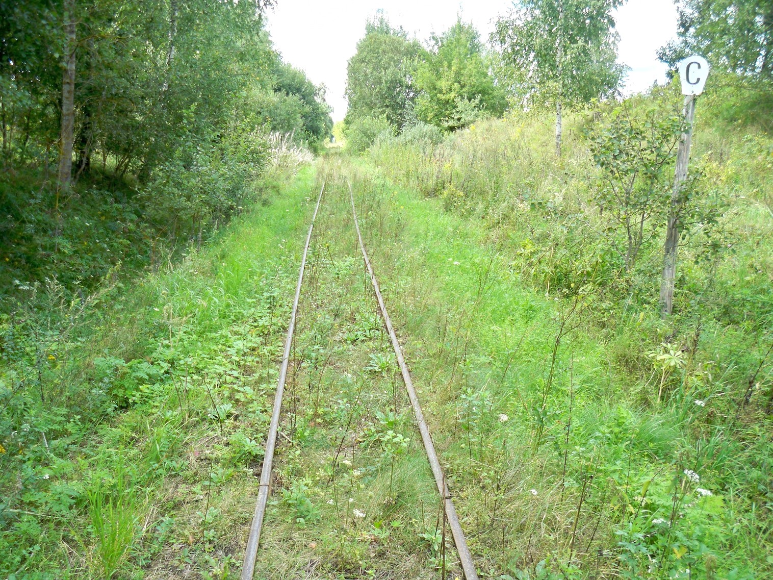 Узкоколейная  железная дорога Нёманского торфопредприятия  —  фотографии, сделанные в 2013 году (часть 11)