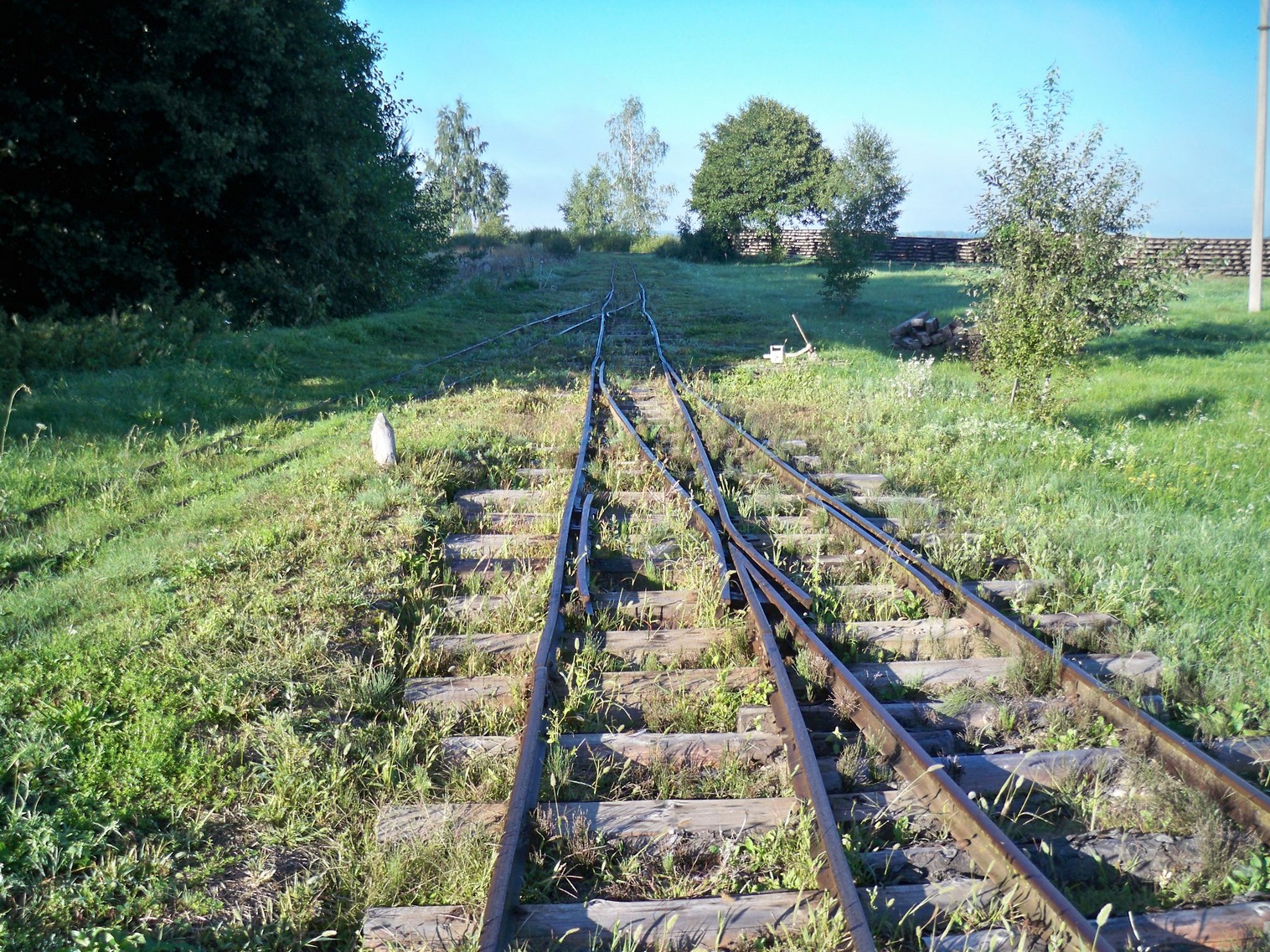 Узкоколейная  железная дорога Нёманского торфопредприятия  —  фотографии, сделанные в 2013 году (часть 2)