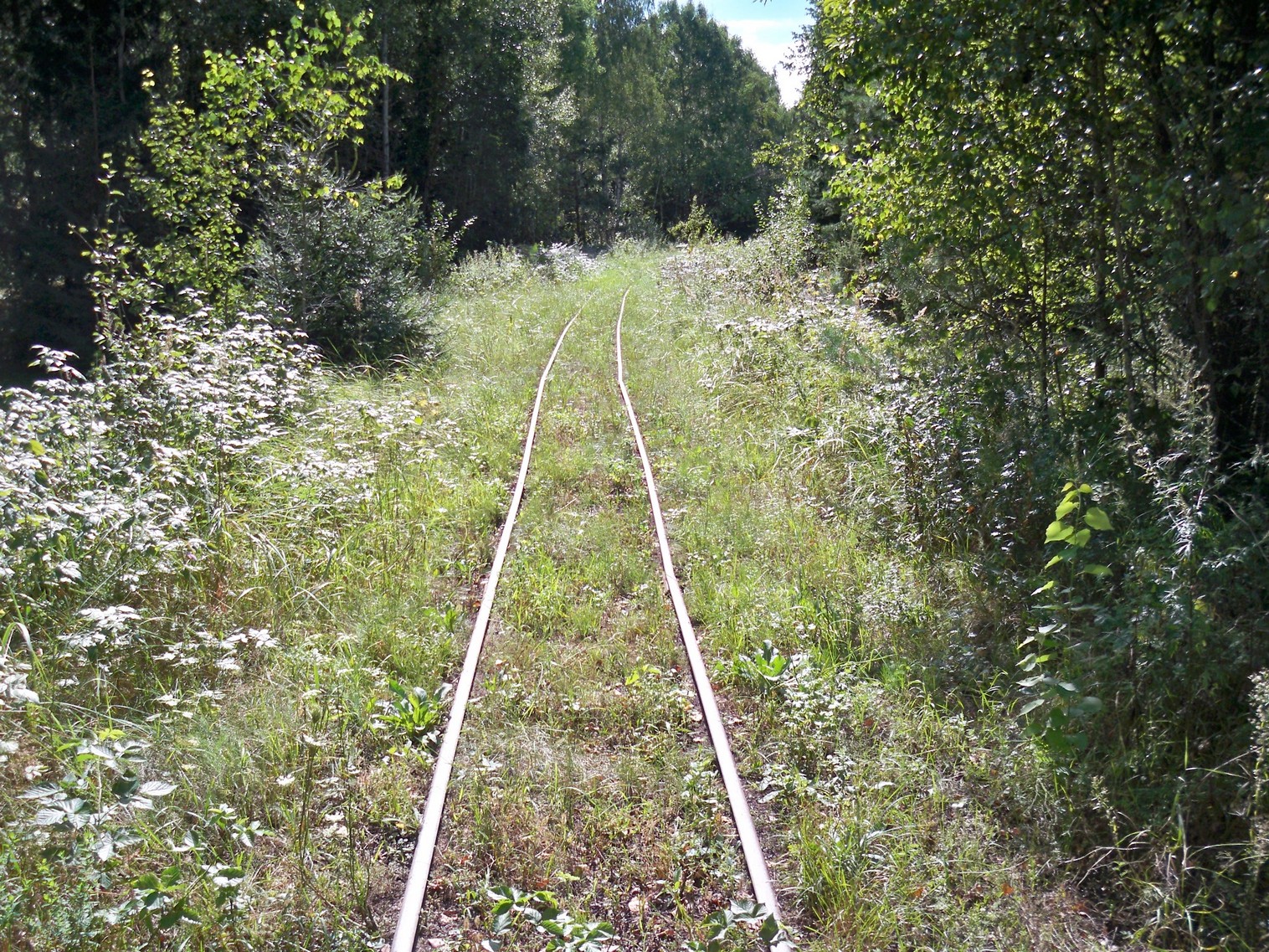 Узкоколейная  железная дорога Нёманского торфопредприятия  —  фотографии, сделанные в 2013 году (часть 15)