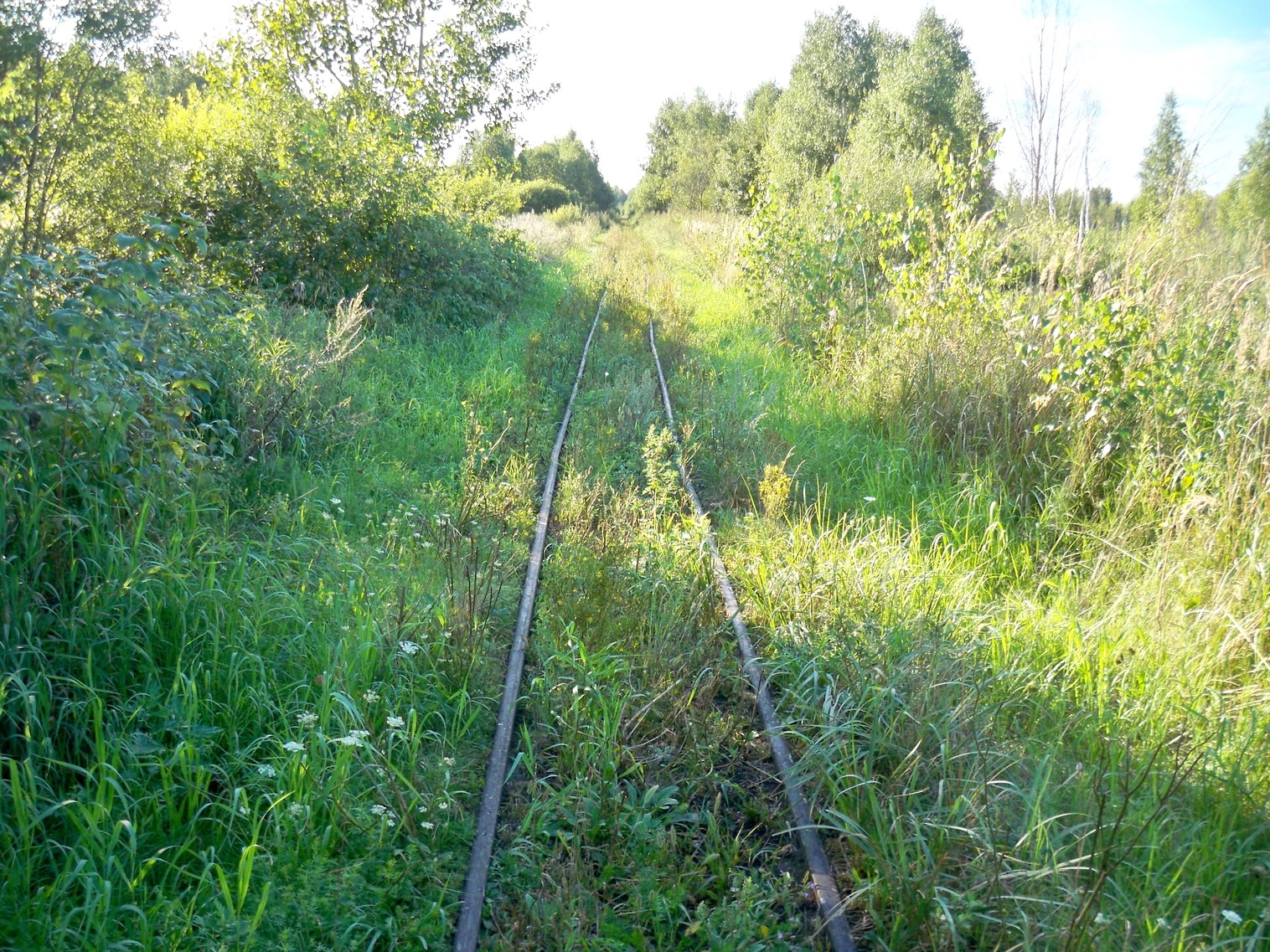 Узкоколейная  железная дорога Нёманского торфопредприятия  —  фотографии, сделанные в 2013 году (часть 20)