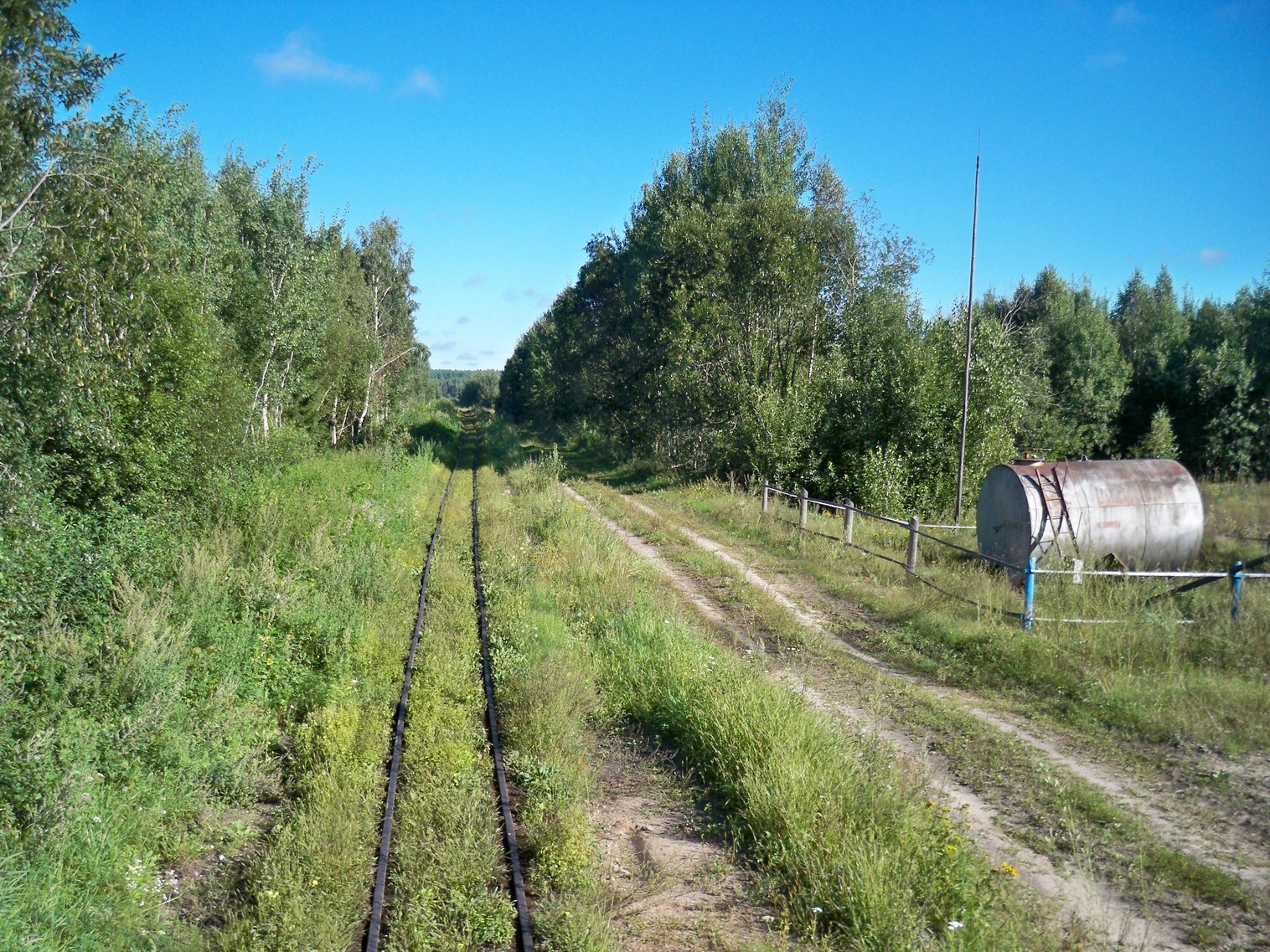 Узкоколейная  железная дорога Нёманского торфопредприятия  —  фотографии, сделанные в 2013 году (часть 5)