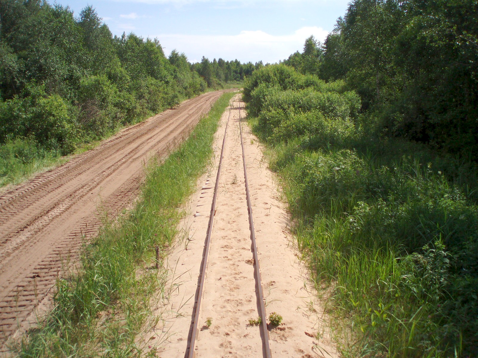 Узкоколейная железная дорога Ершовского торфопредприятия — фотографии, сделанные в 2007 году (часть 3)