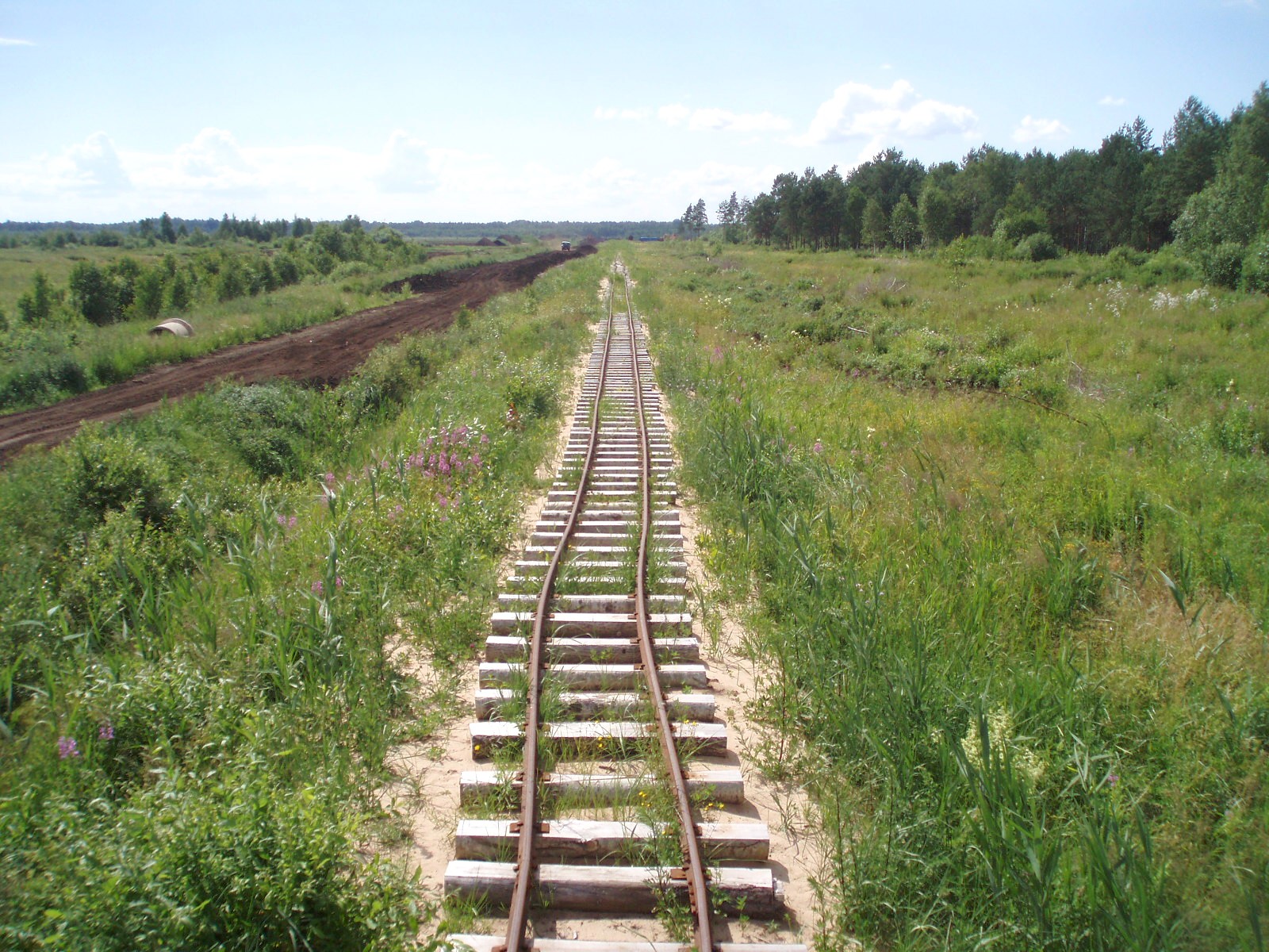 Узкоколейная железная дорога Ершовского торфопредприятия — фотографии, сделанные в 2007 году (часть 4)