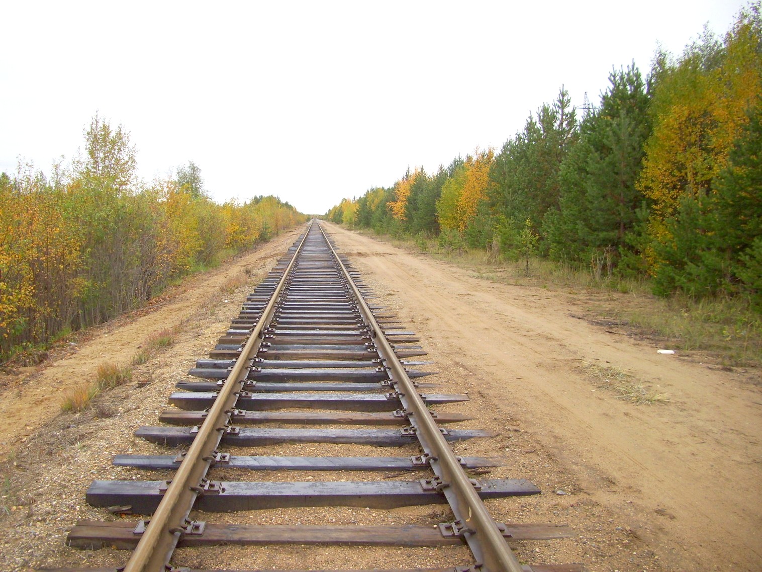 Железнодорожная линия Исакогорка — Северодвинск — Нёнокса
  —  фотографии, сделанные в 2010 году (часть 7)