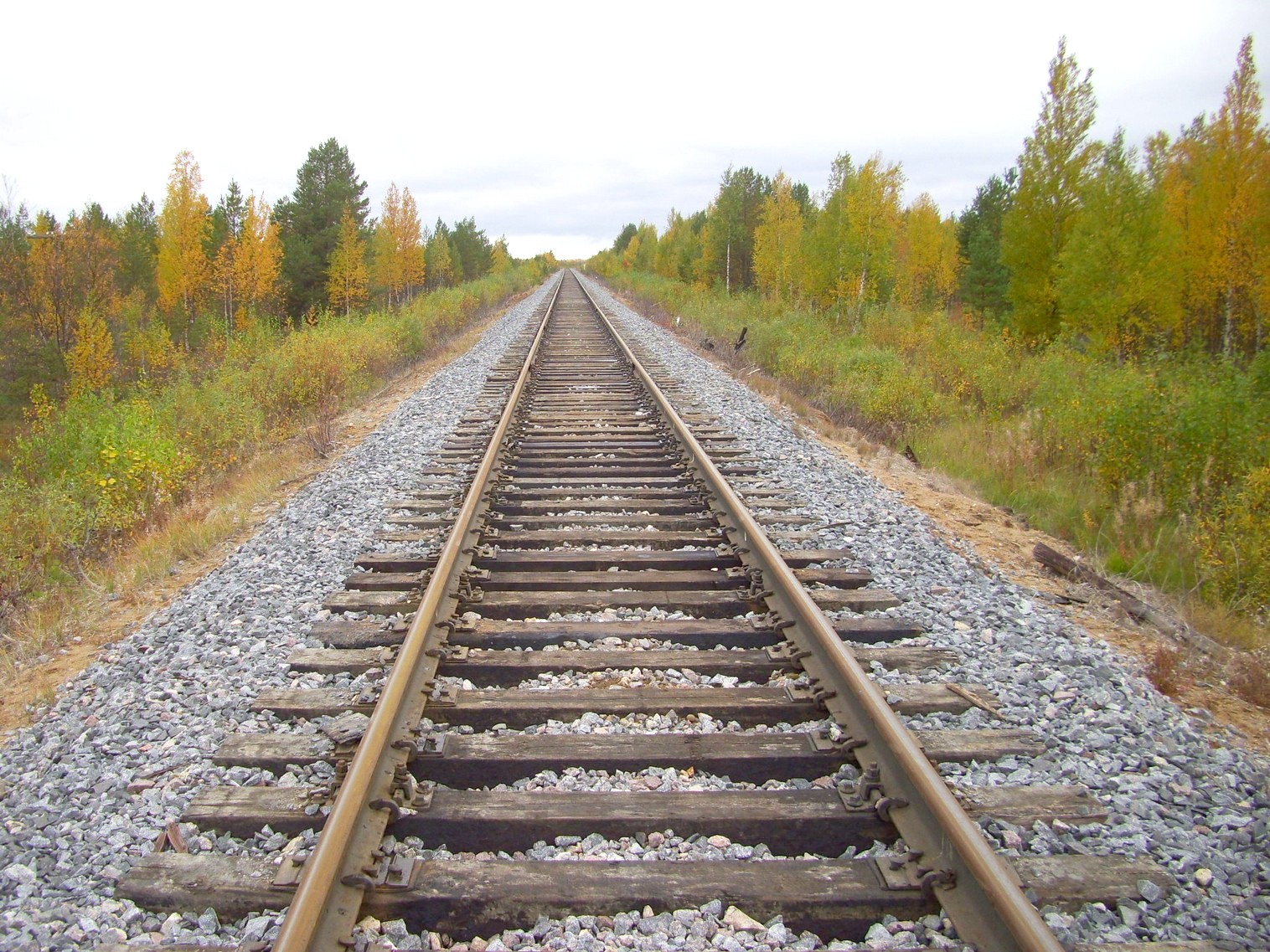 Железнодорожная линия Исакогорка — Северодвинск — Нёнокса
  —  фотографии, сделанные в 2010 году (часть 8)