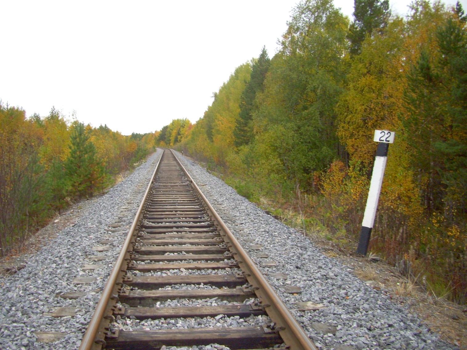 Железнодорожная линия Исакогорка — Северодвинск — Нёнокса
  —  фотографии, сделанные в 2010 году (часть 10)