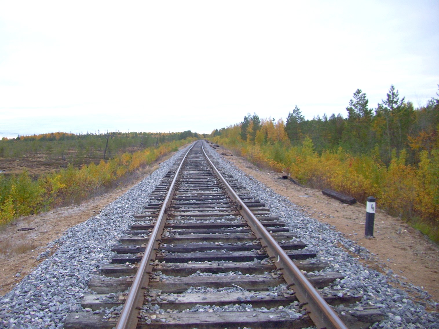 Железнодорожная линия Исакогорка — Северодвинск — Нёнокса
  —  фотографии, сделанные в 2010 году (часть 13)