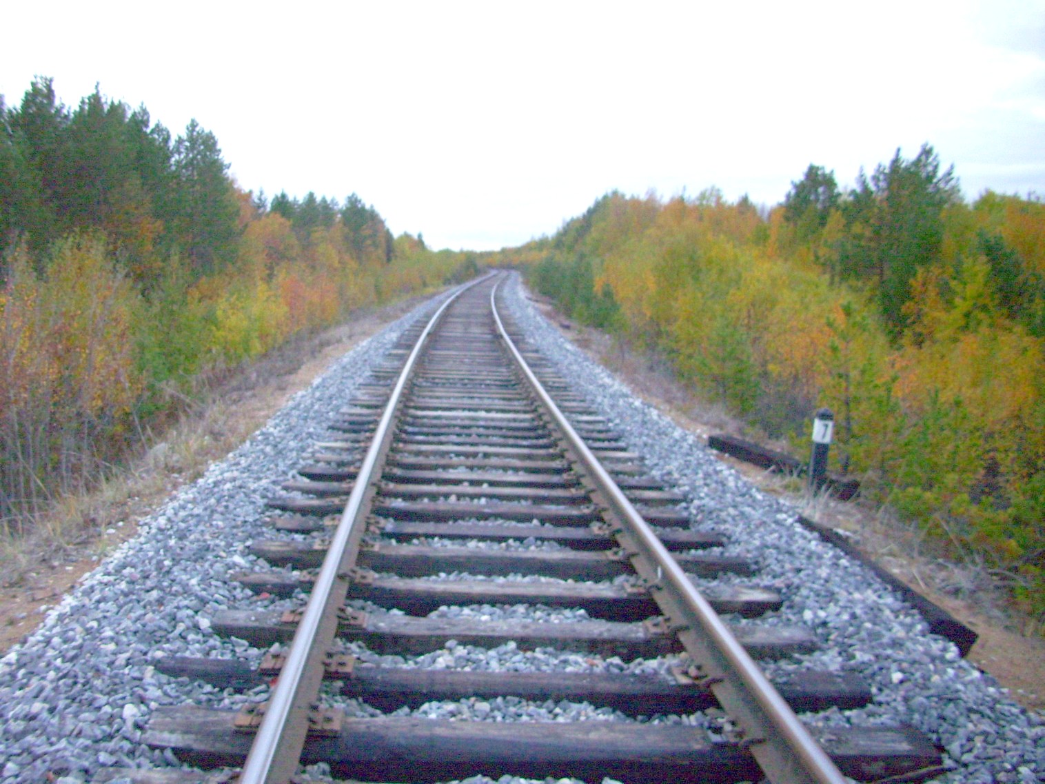 Железнодорожная линия Исакогорка — Северодвинск — Нёнокса
  —  фотографии, сделанные в 2010 году (часть 14)